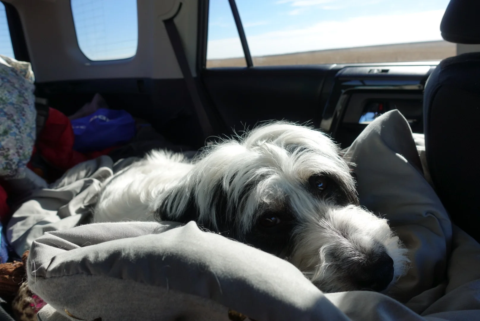 Wilson, KS to Denver, CO