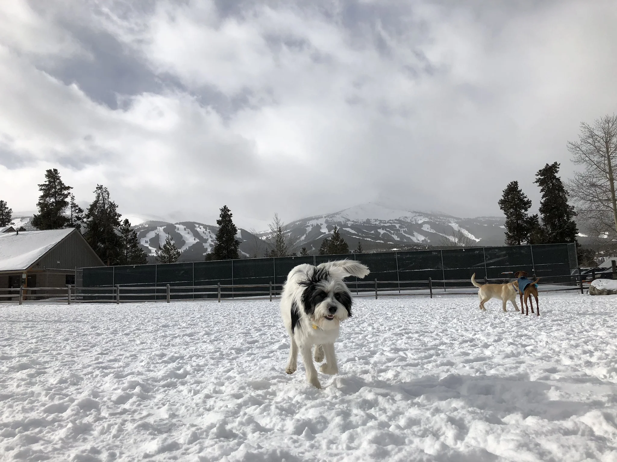 Denver, CO to Breckenridge, CO