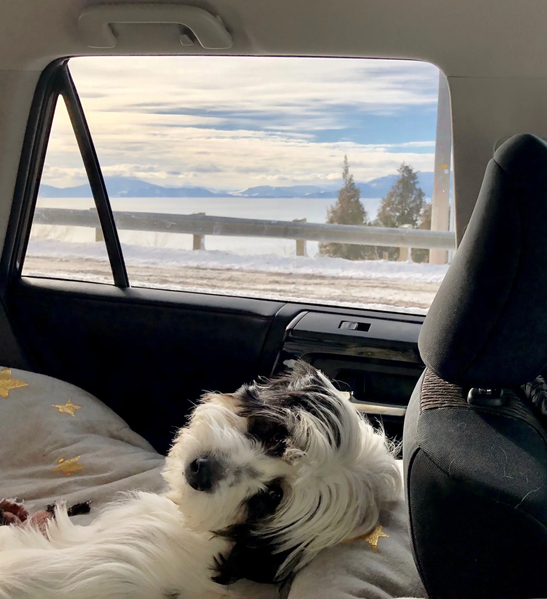 Whitefish, MT
