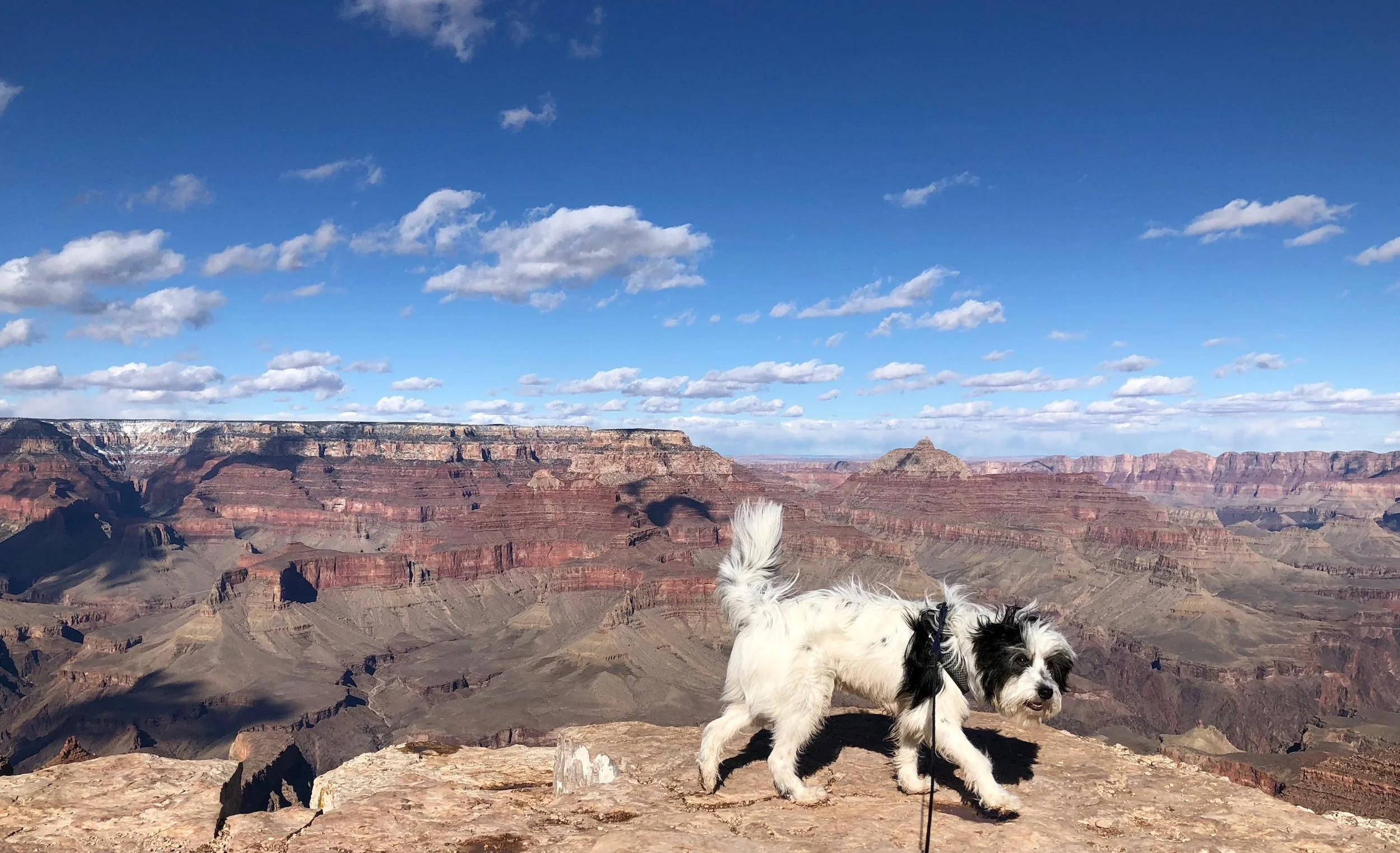 Las Vegas, NV to Page, AZ