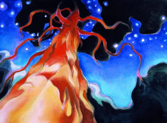 Redwood Tree, Night