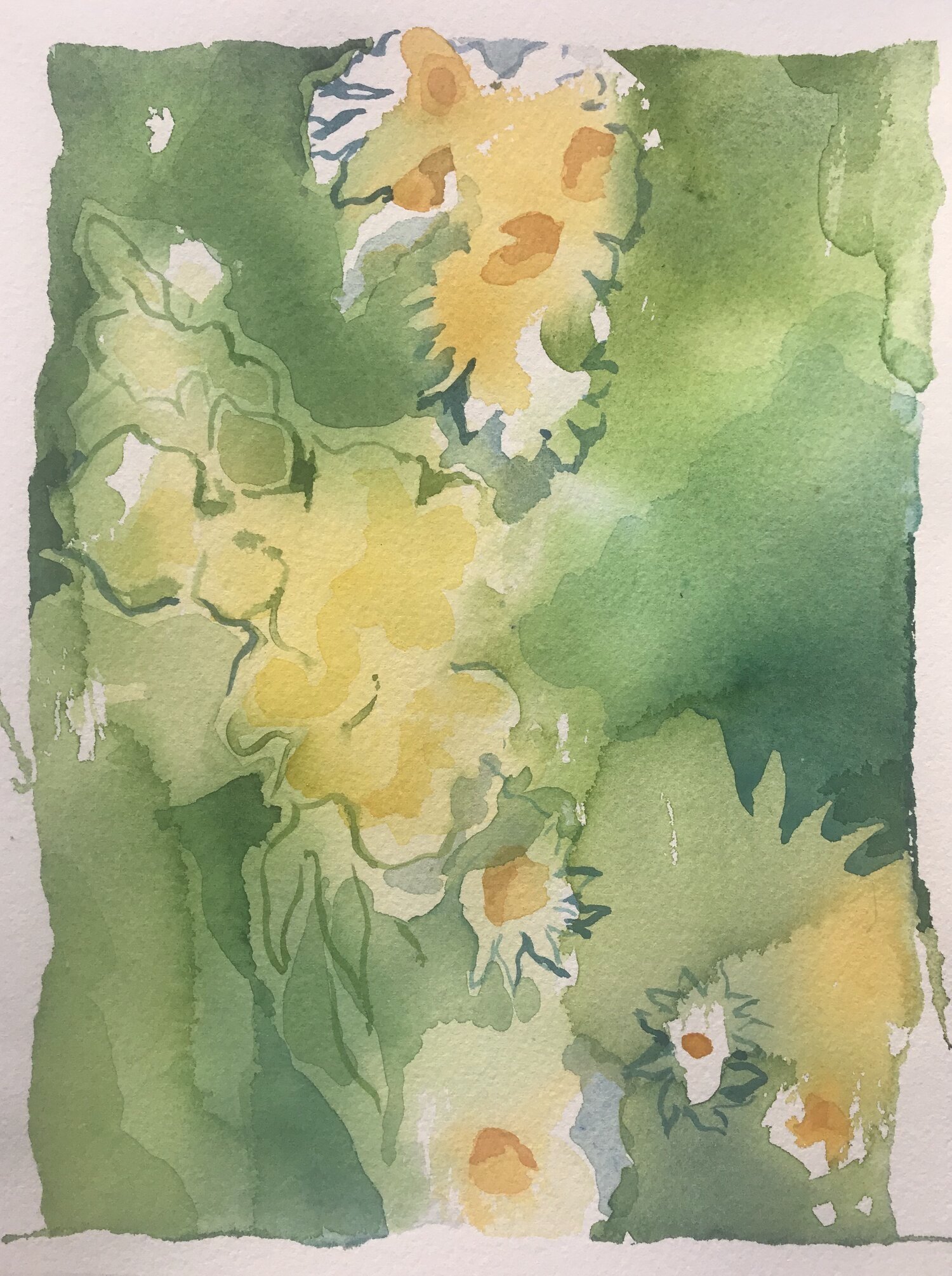 Watercolors, Flora Series #1