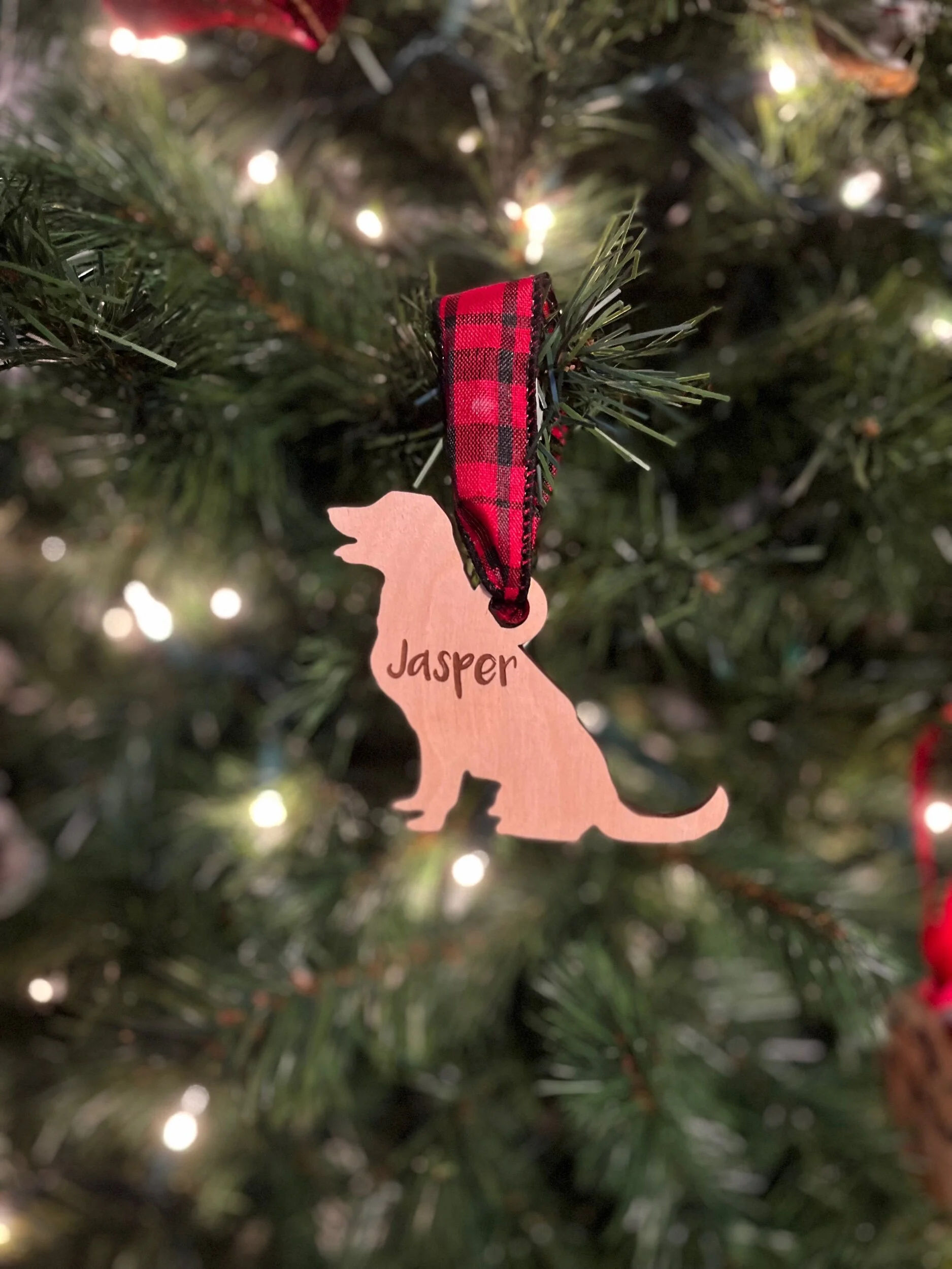 D56F0EBB-BFA7-408E-81ED-622AD85C6D83