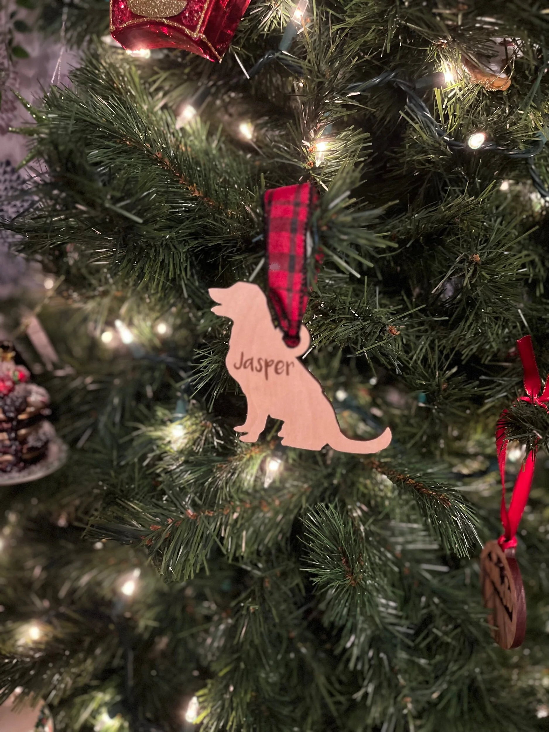 72ED9947-1CEF-4891-99F9-1BA4A36F489F