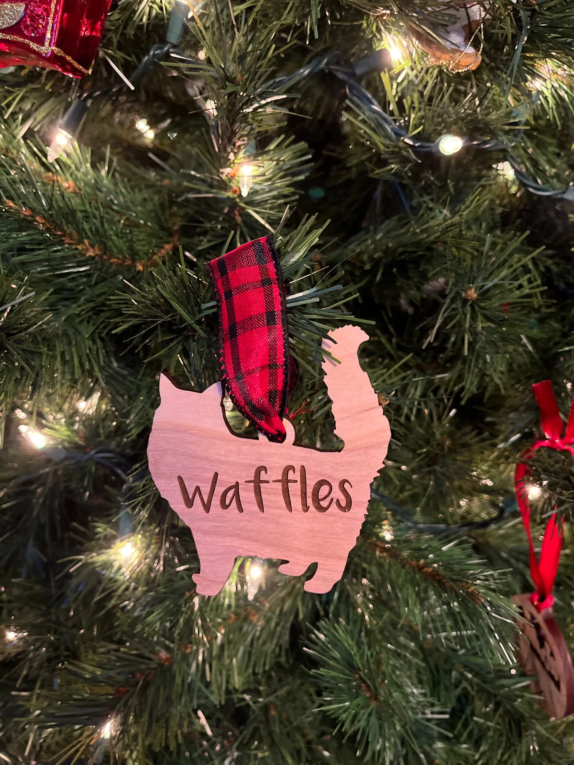 B55682AF-8DD4-4F8C-8BEF-9DAAC077B59C