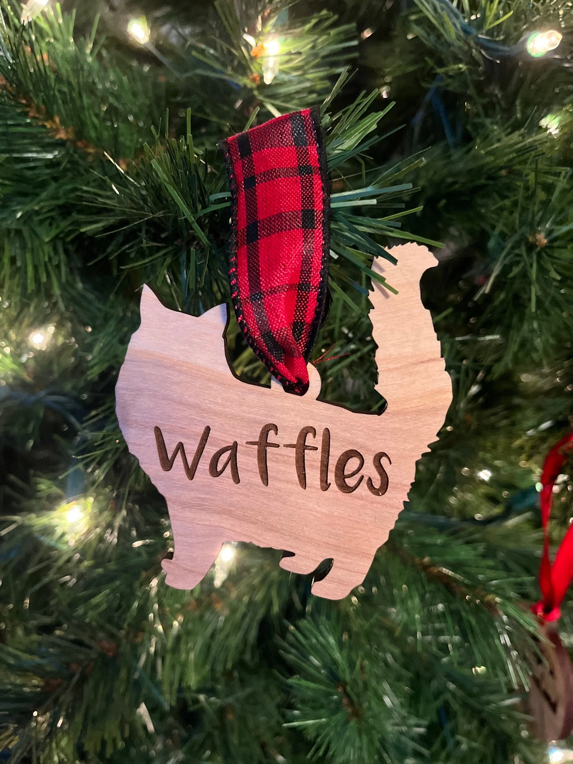 56615A7C-C15E-4B79-909D-0049D5DE6510