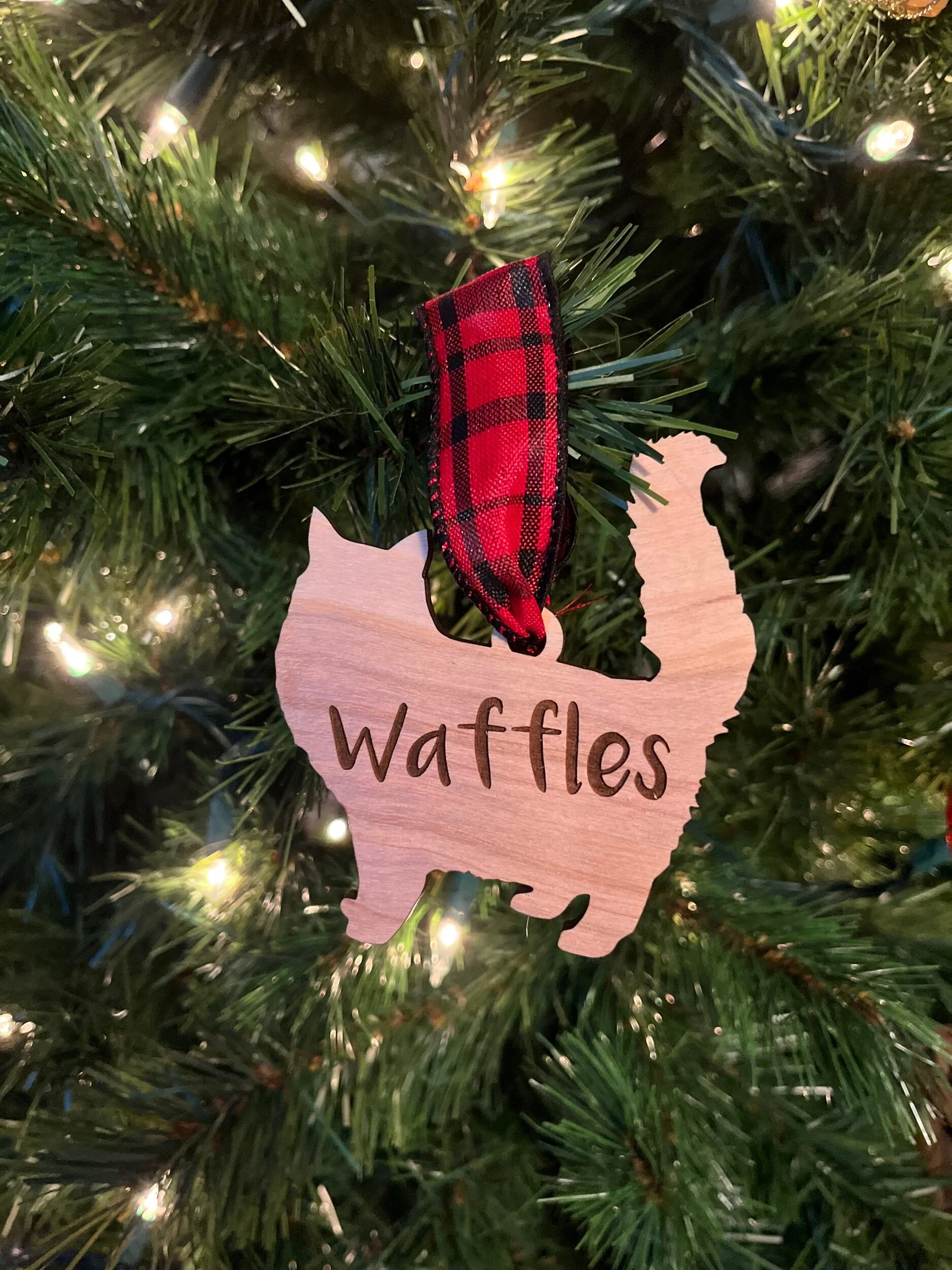 056B500C-EE70-433E-9F95-B04FD67B1D29