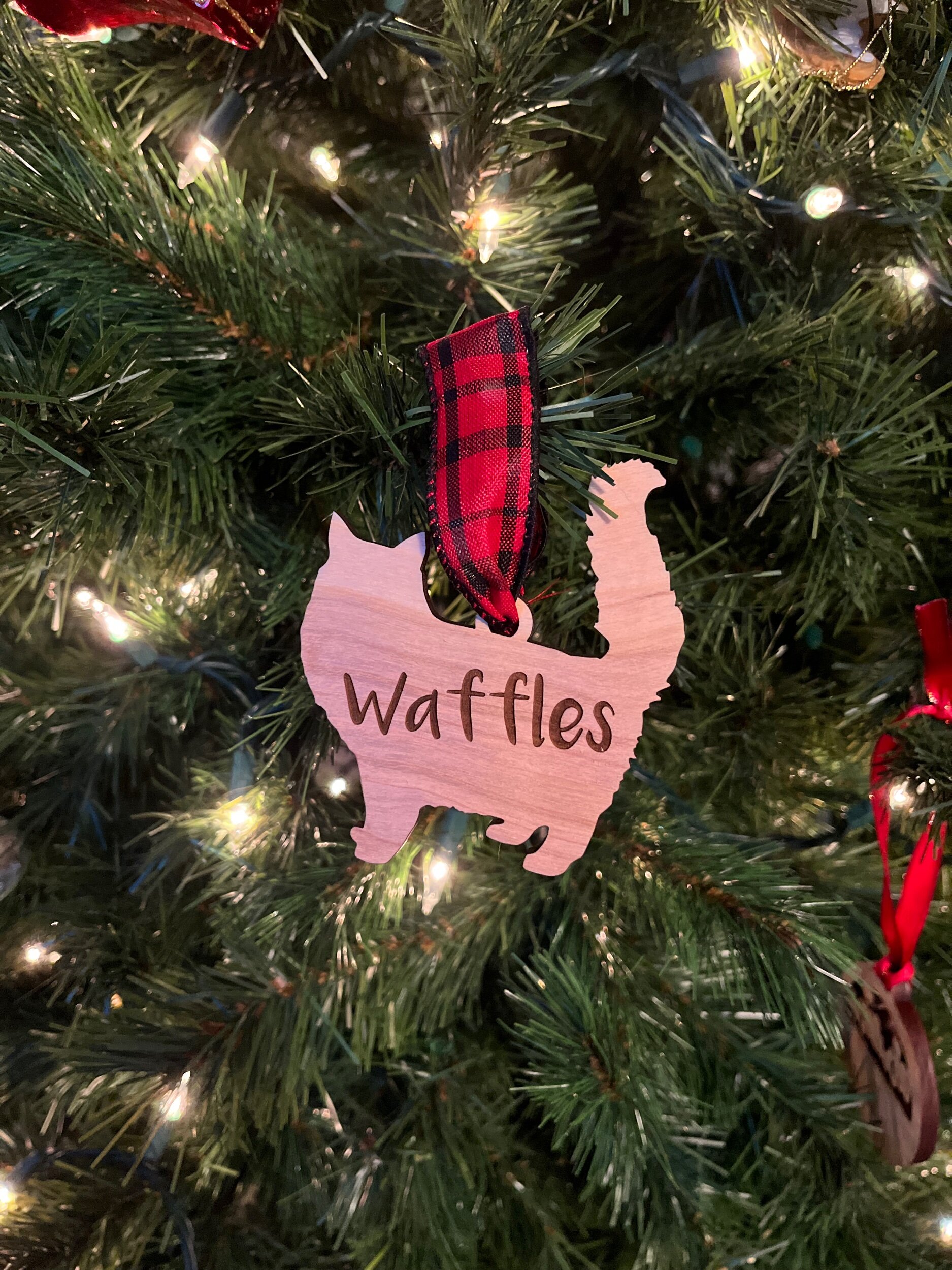 D2AC7CA2-36FA-48C6-A5FB-2F0368308F2B