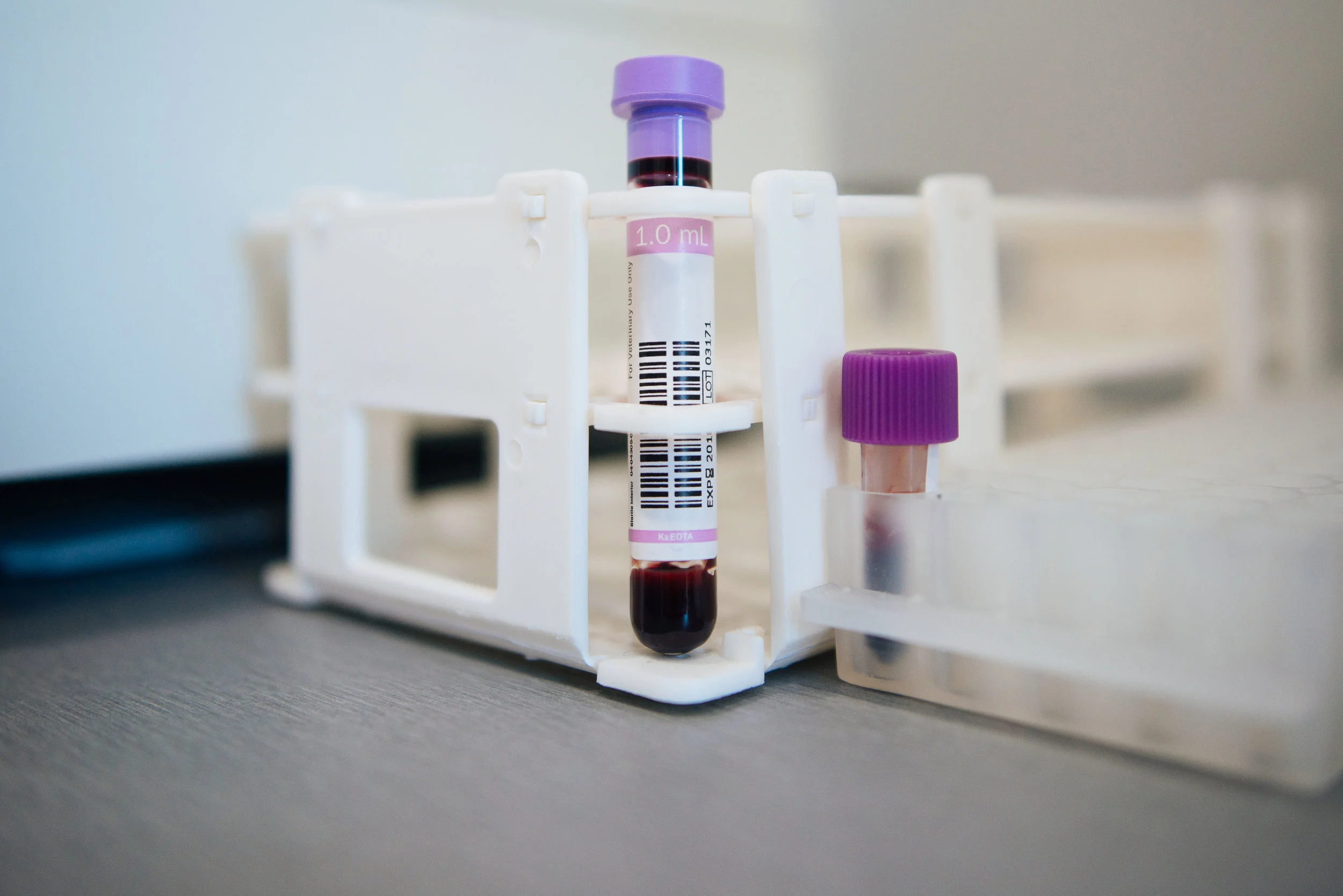 Clinique Véto-35.jpg