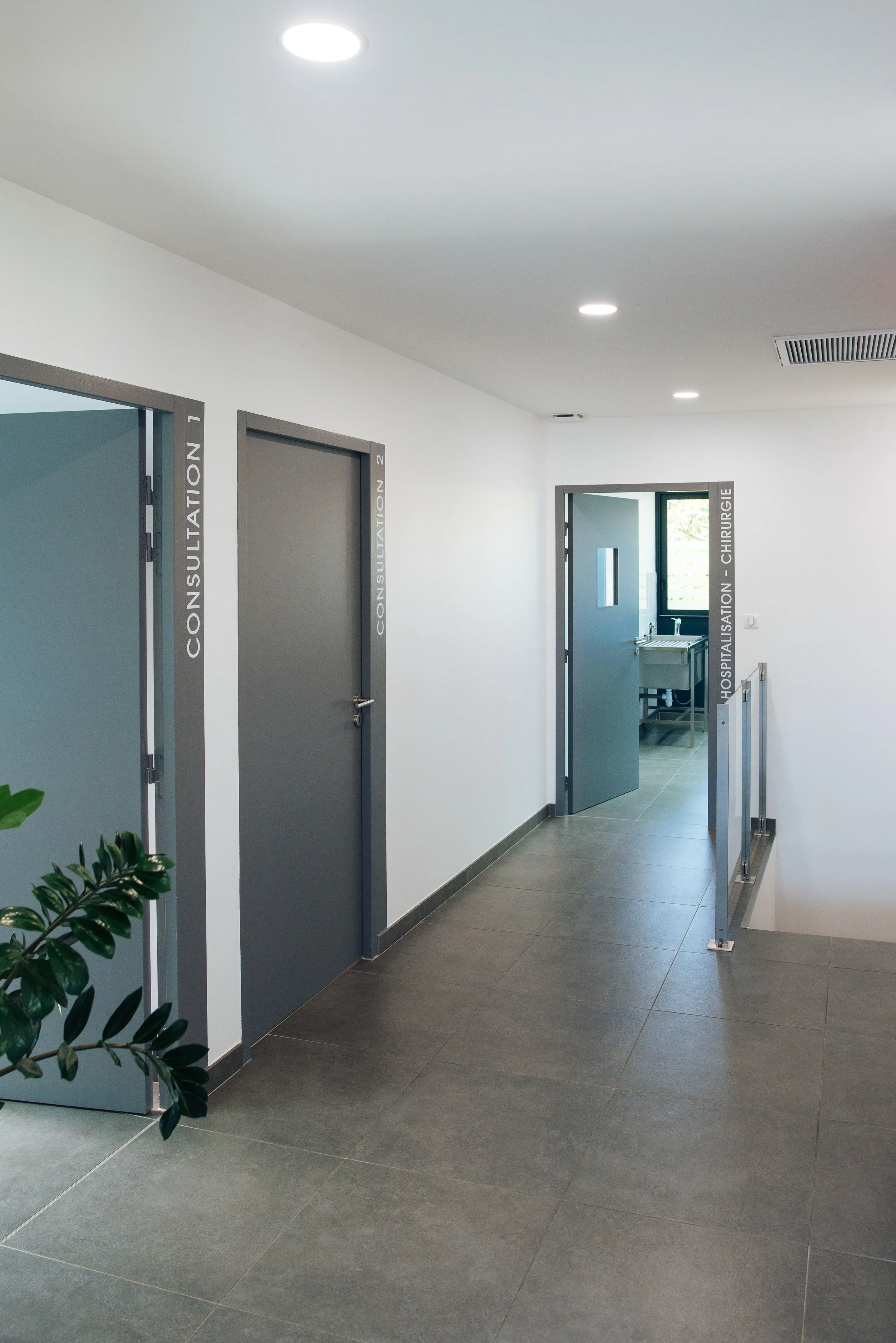 Clinique Véto-57.jpg