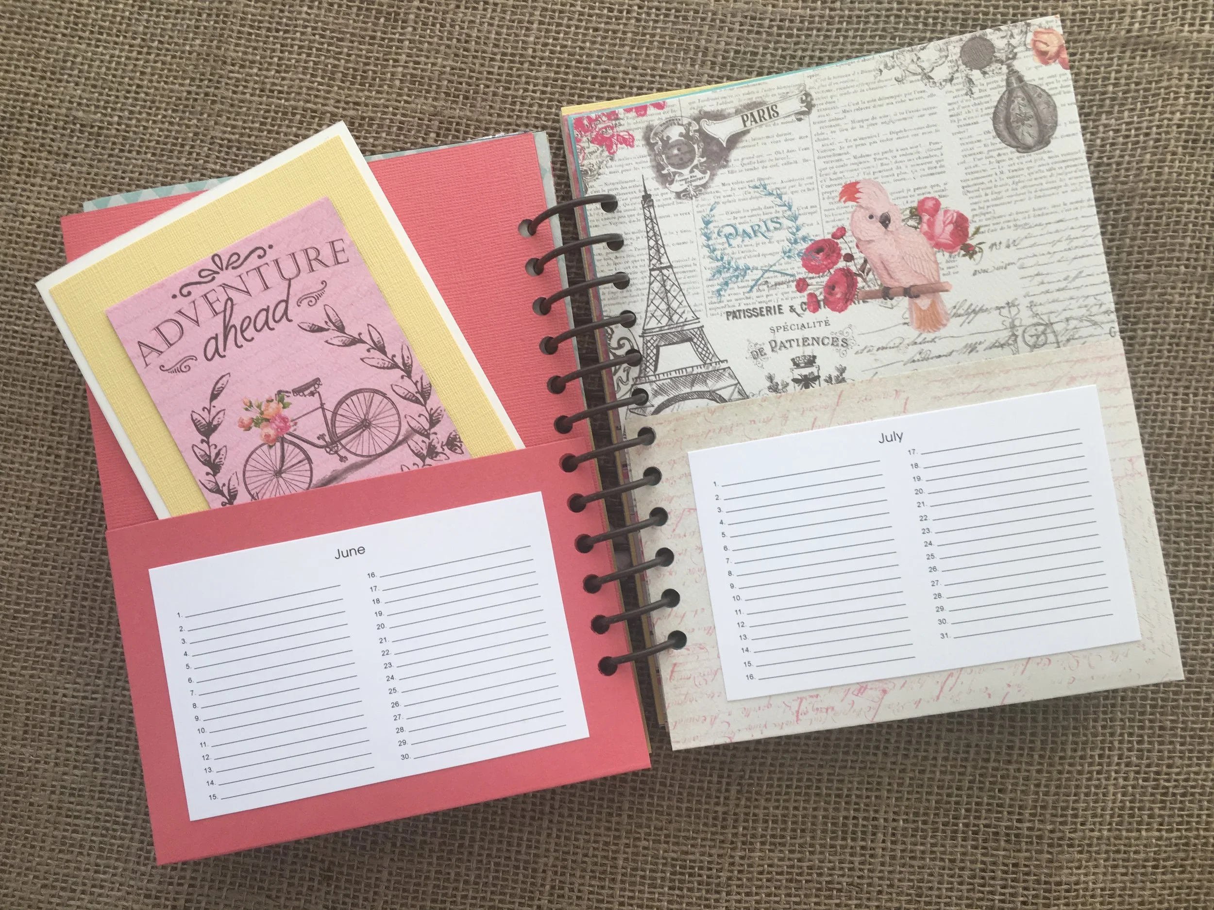Card Organizer Book