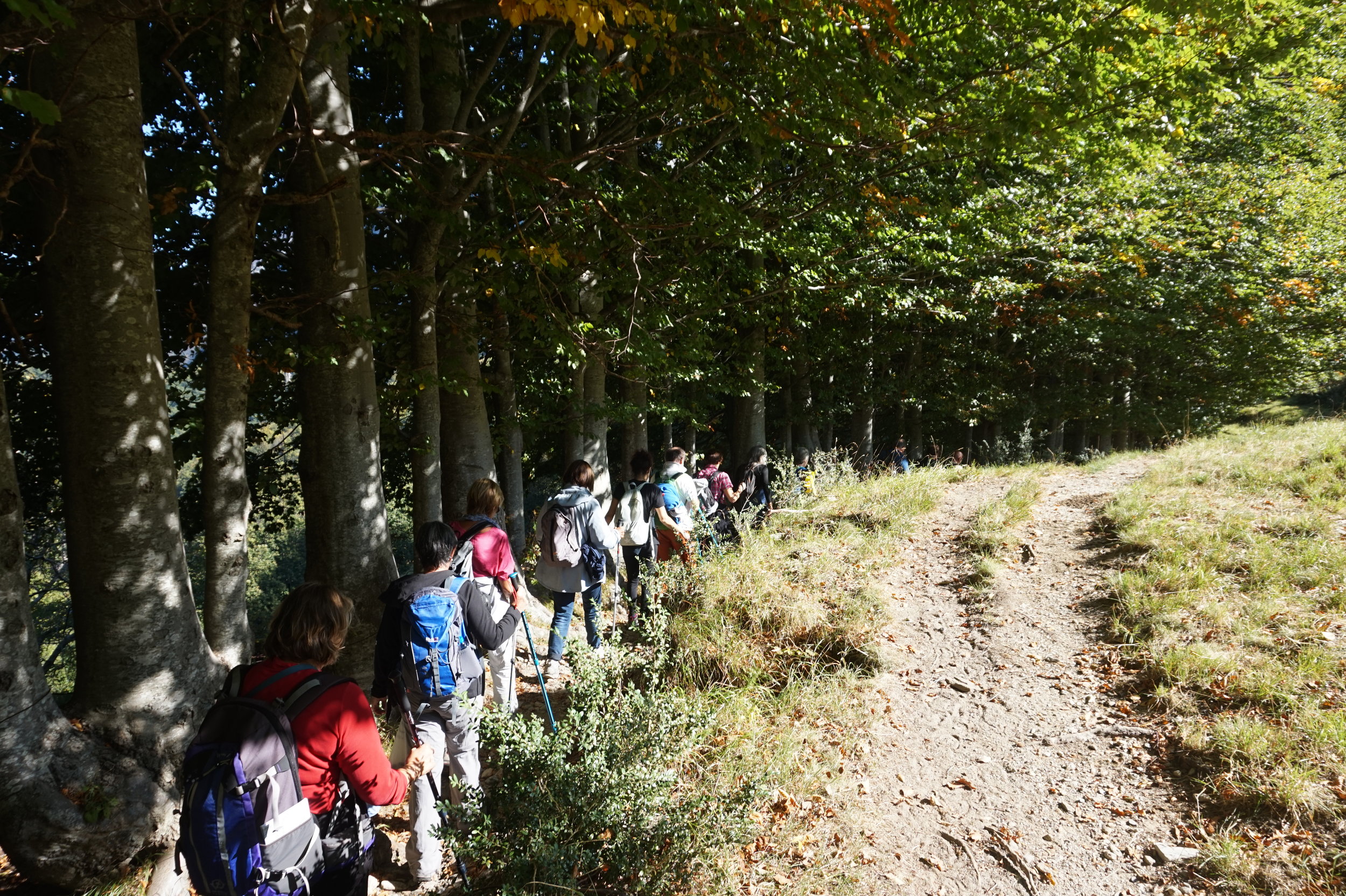 Hiking in Tuscany