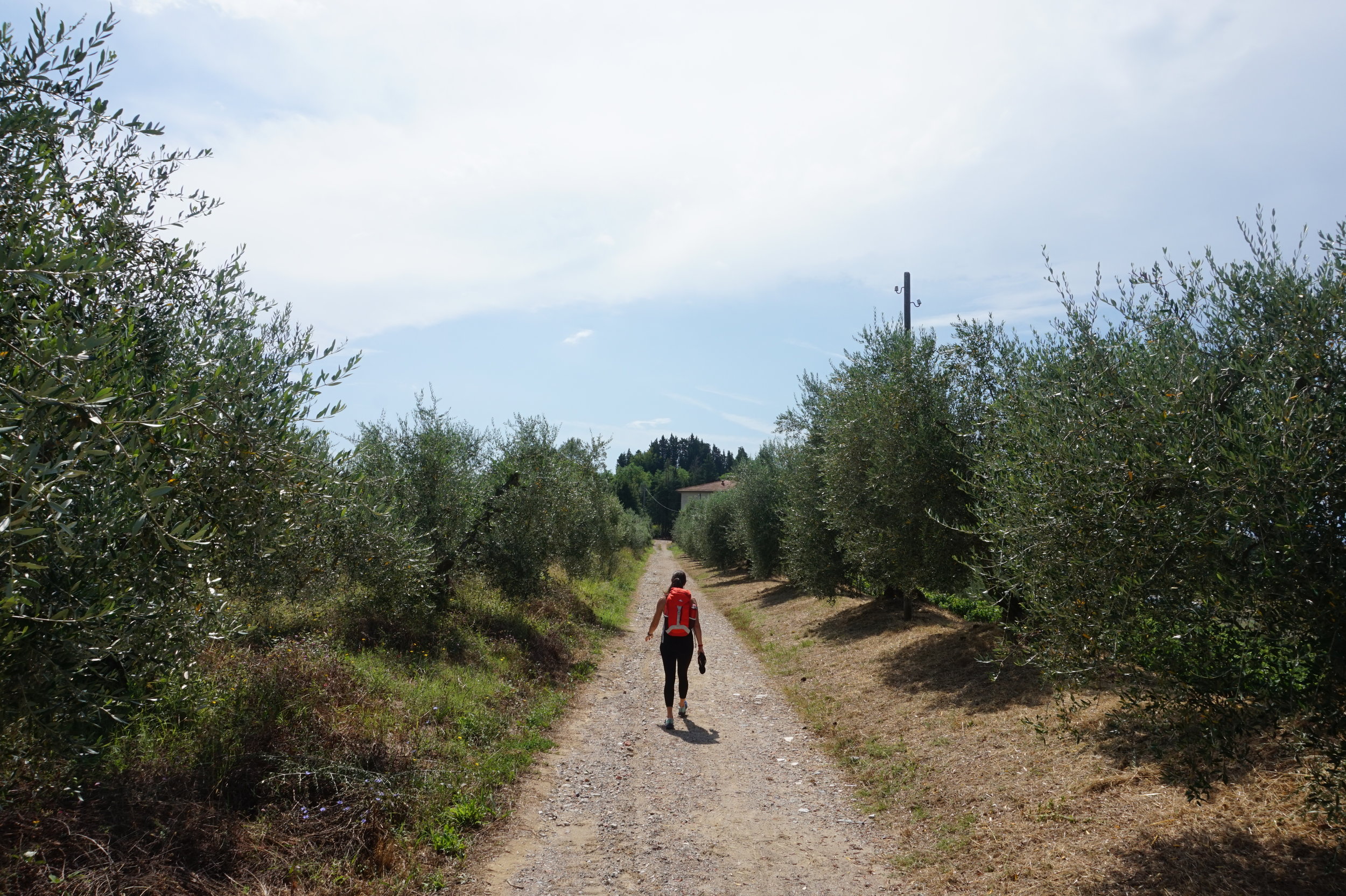 Hiking in Tuscany