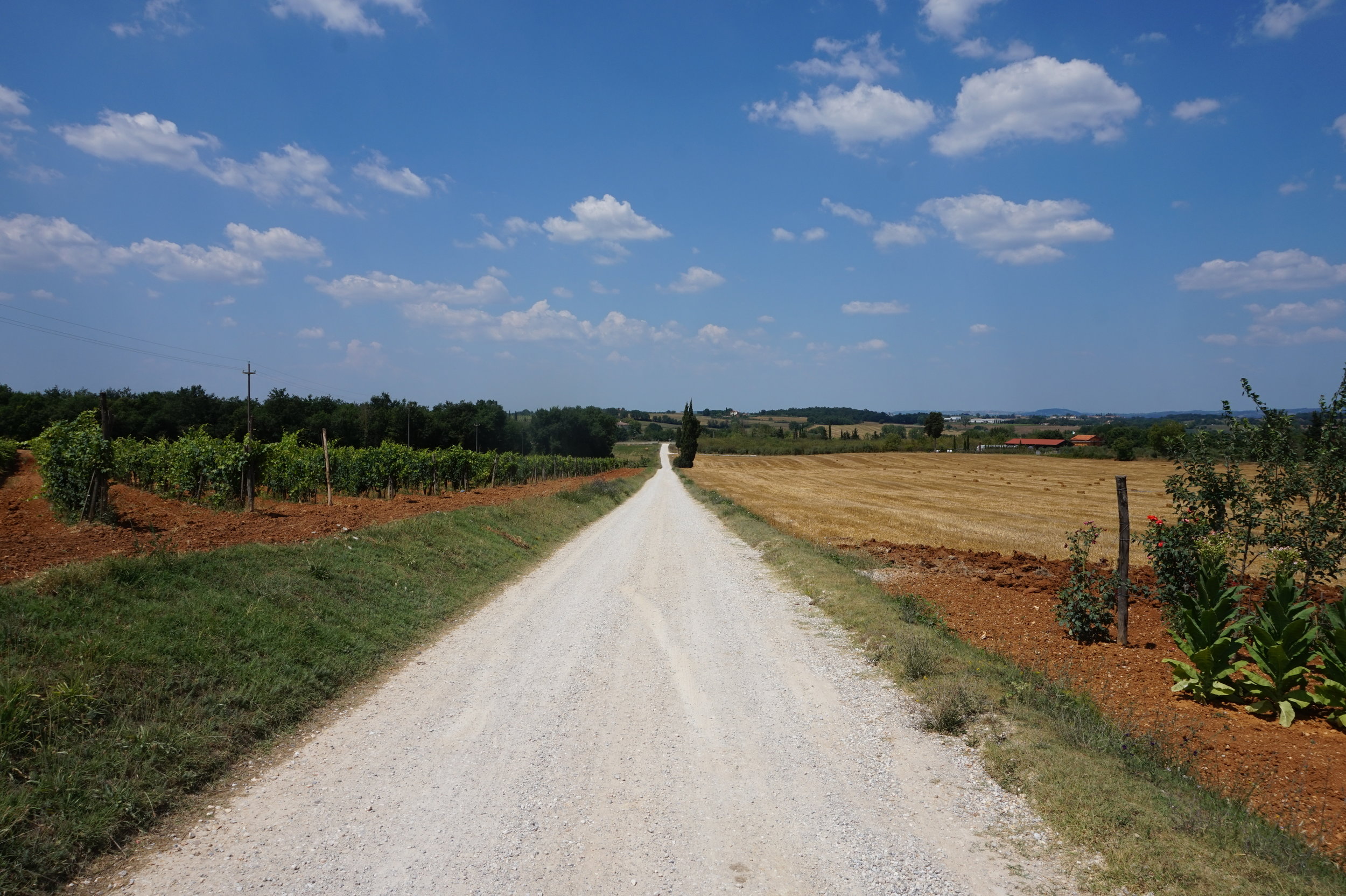 Camminare in Toscana