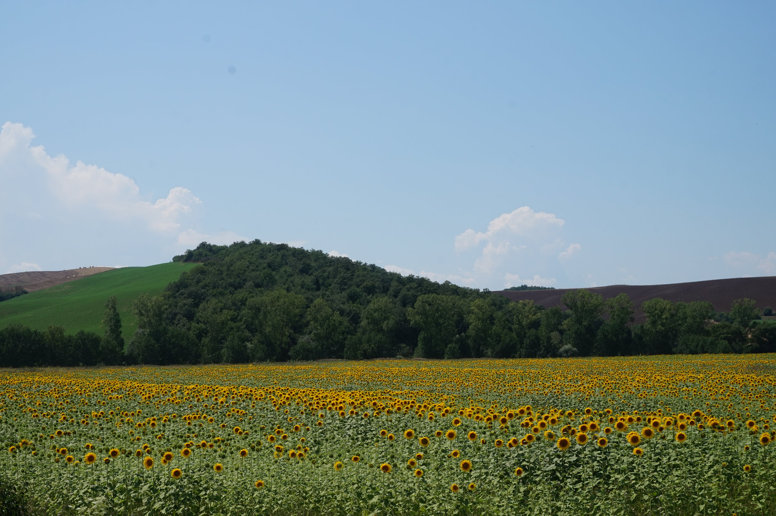 Camminare in Toscana