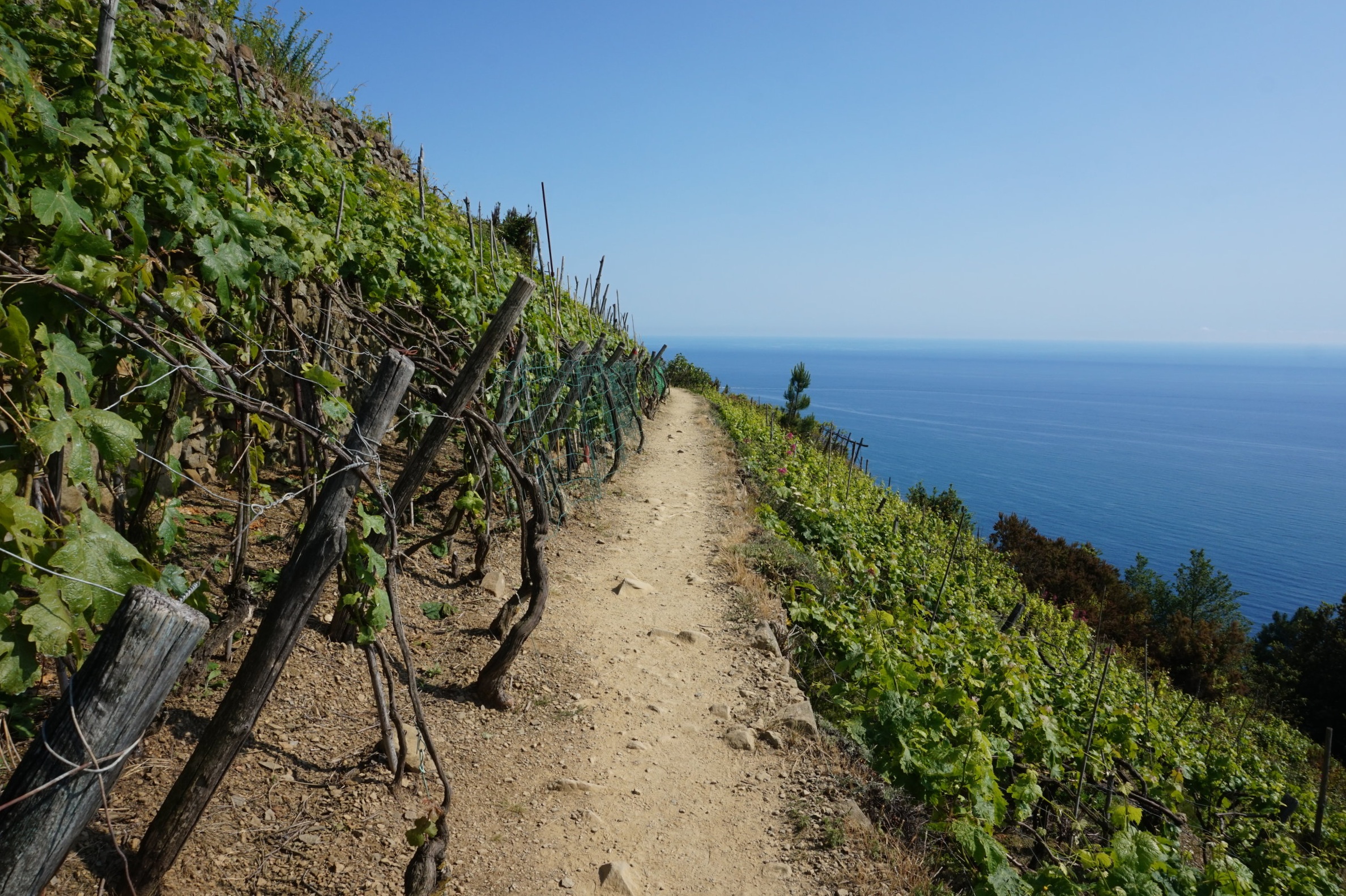 Walking in Cinque Terre, Hiking Tours