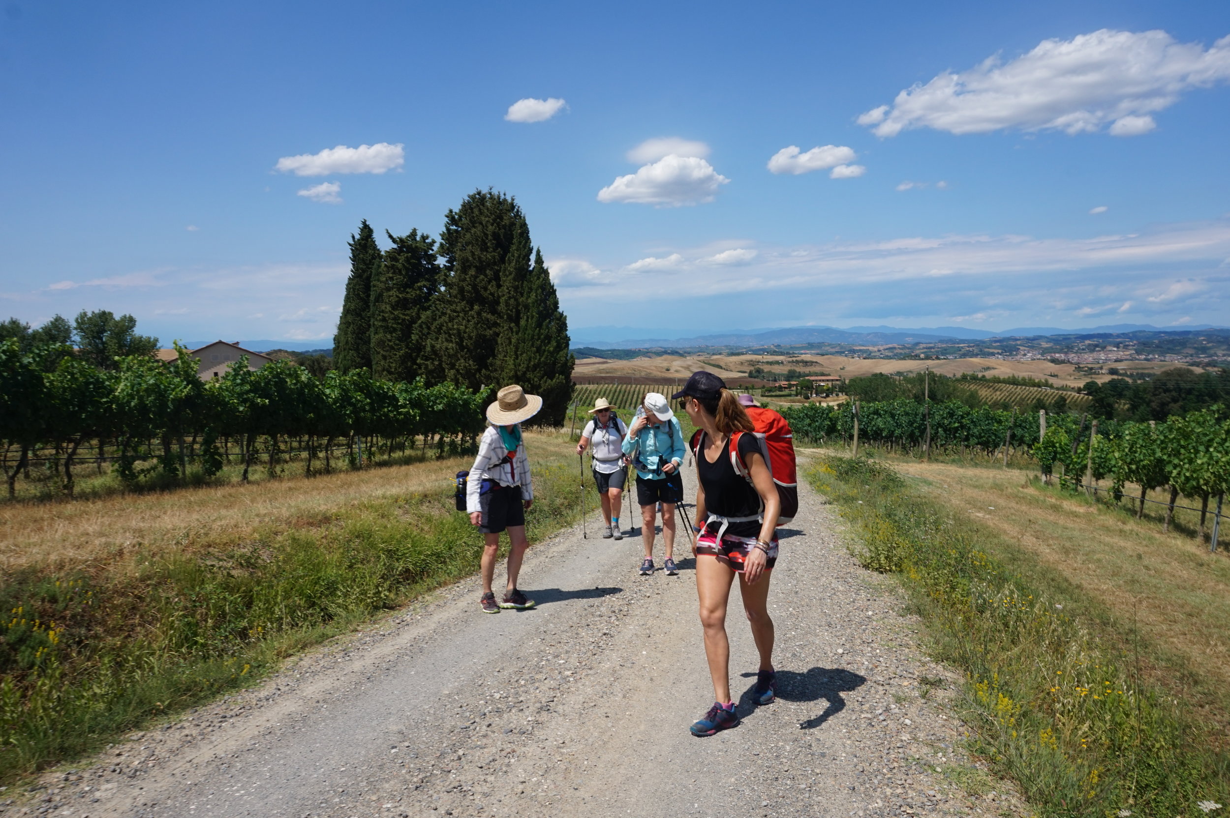 Via Francigena Hiking Tours