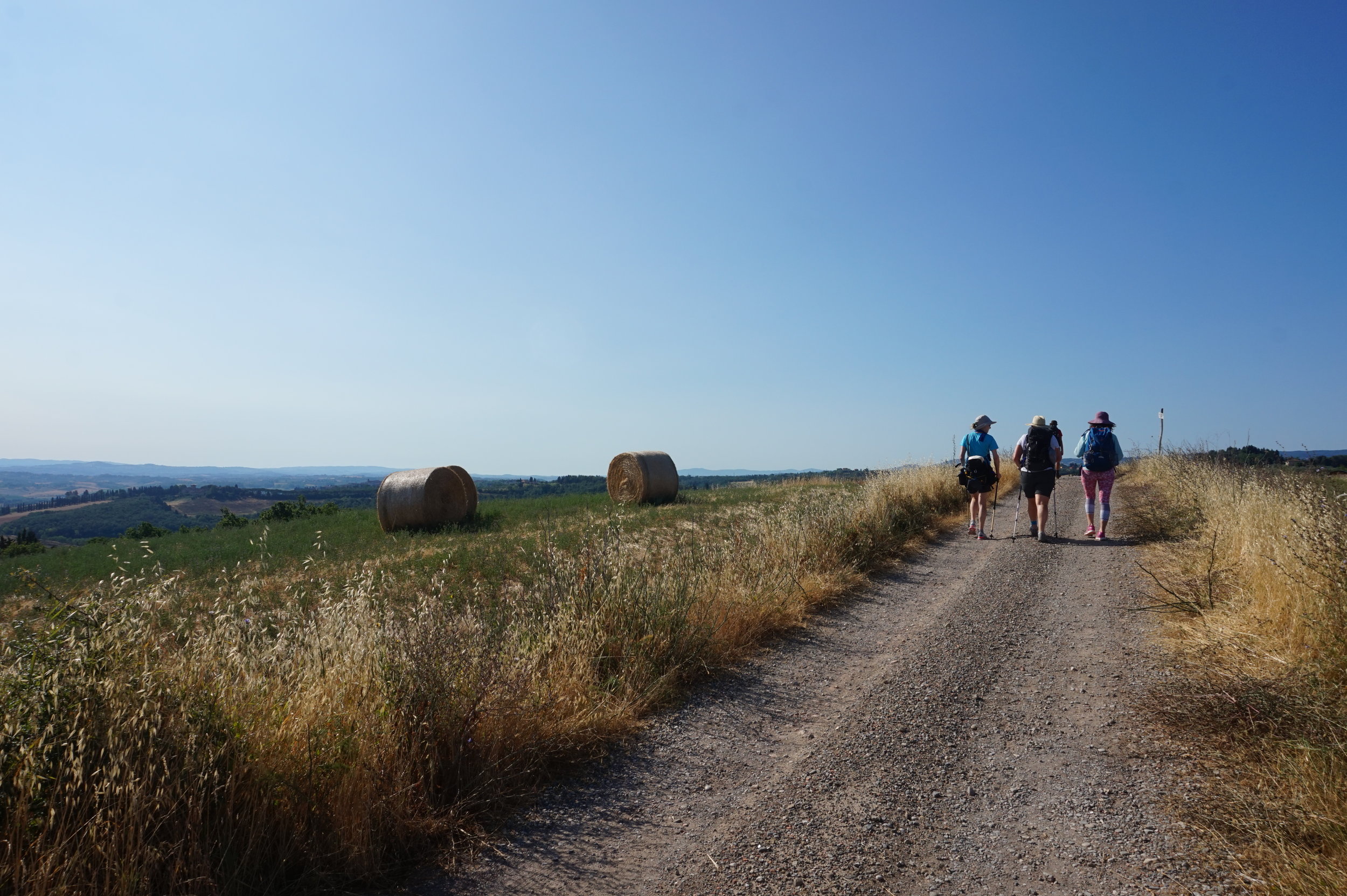 Hike Walk Tuscany Via Francigena