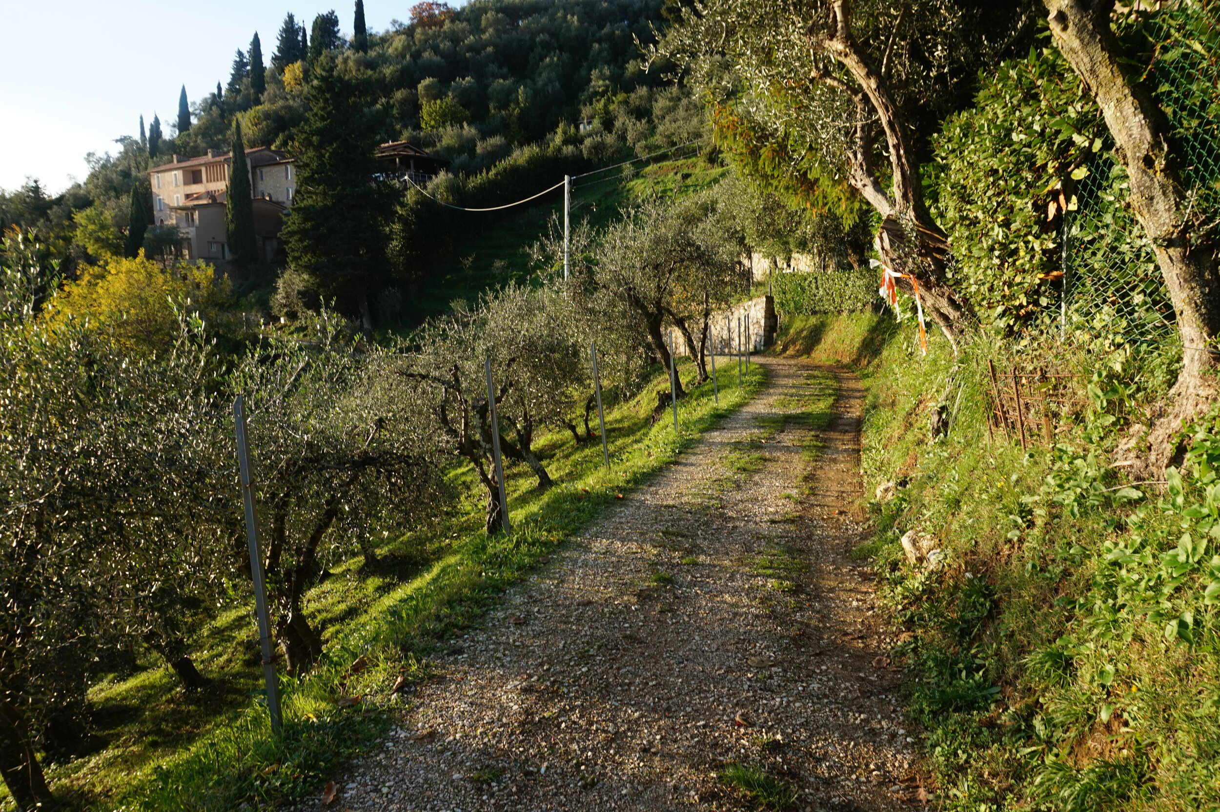 Hiking in Tuscany