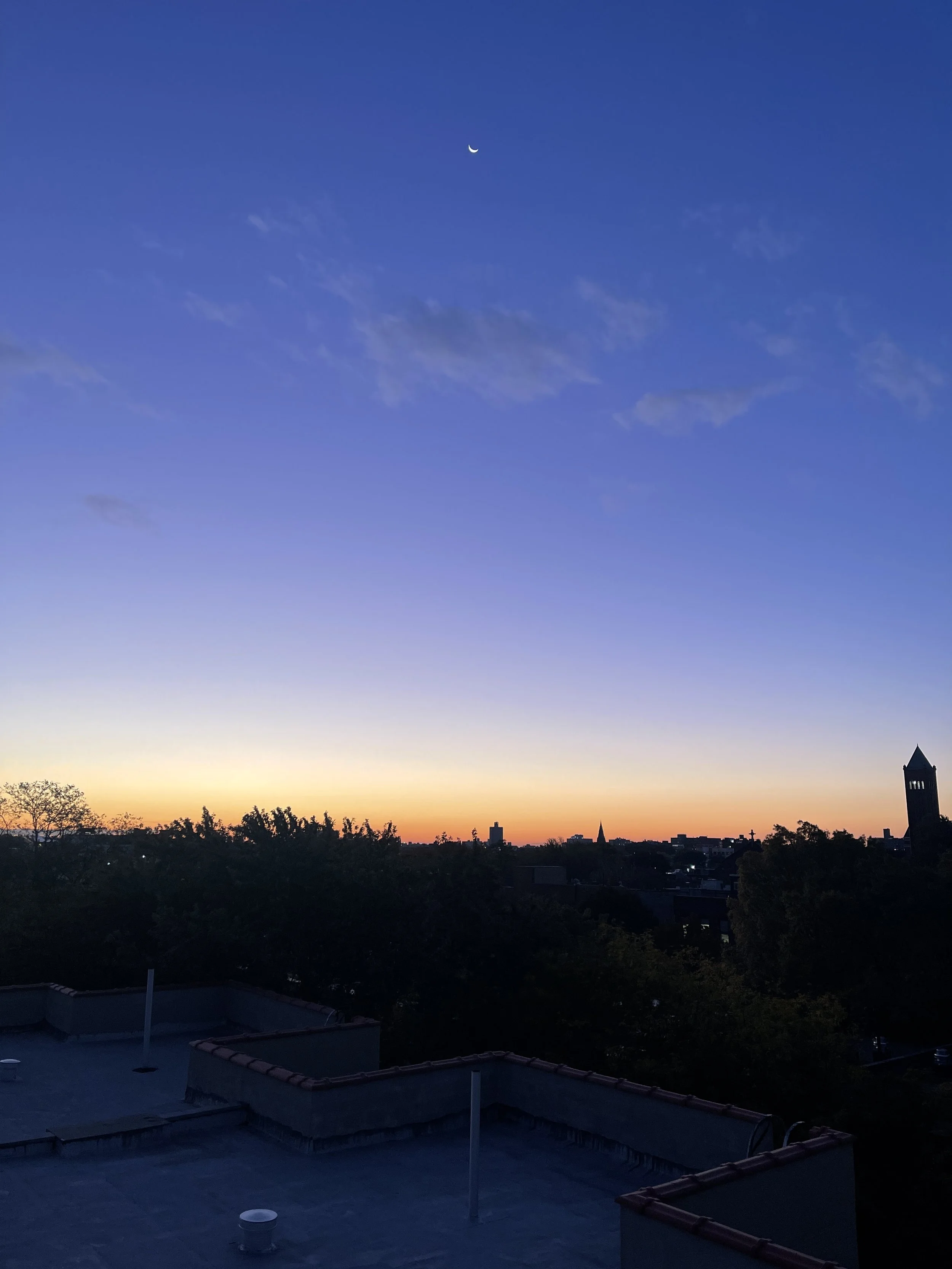 IMG_0805.JPG