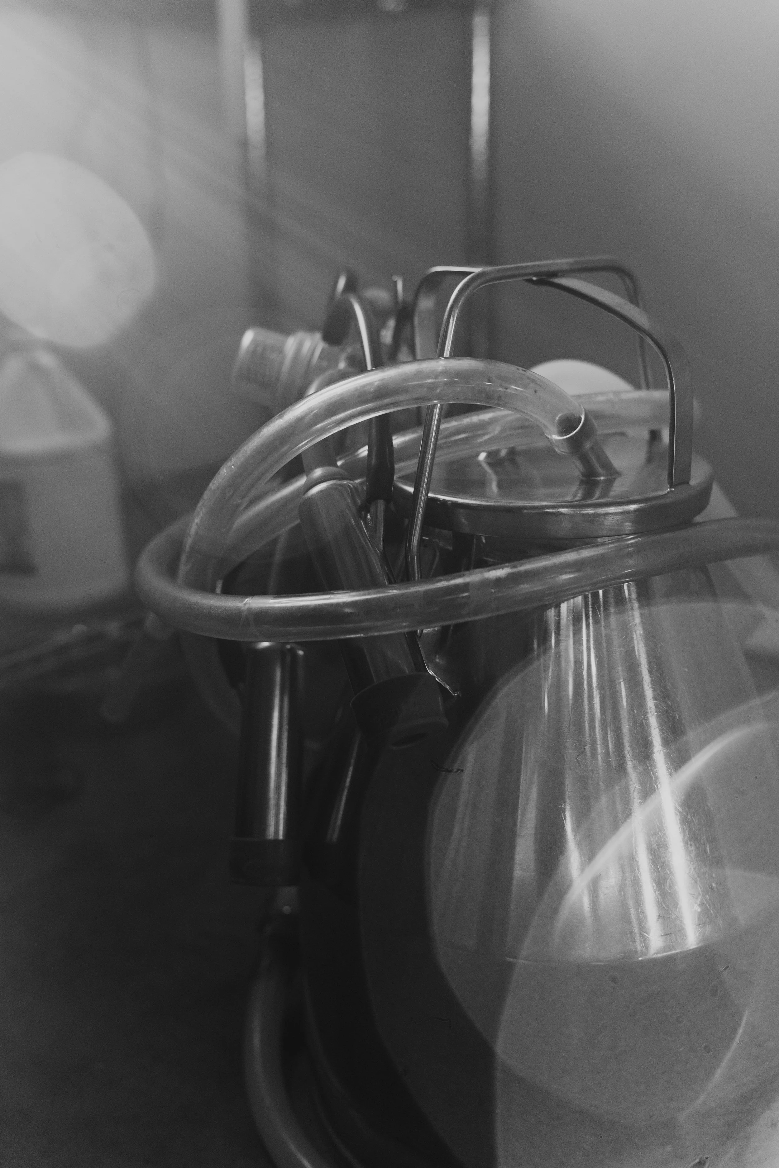 Anderson Family-3.jpg