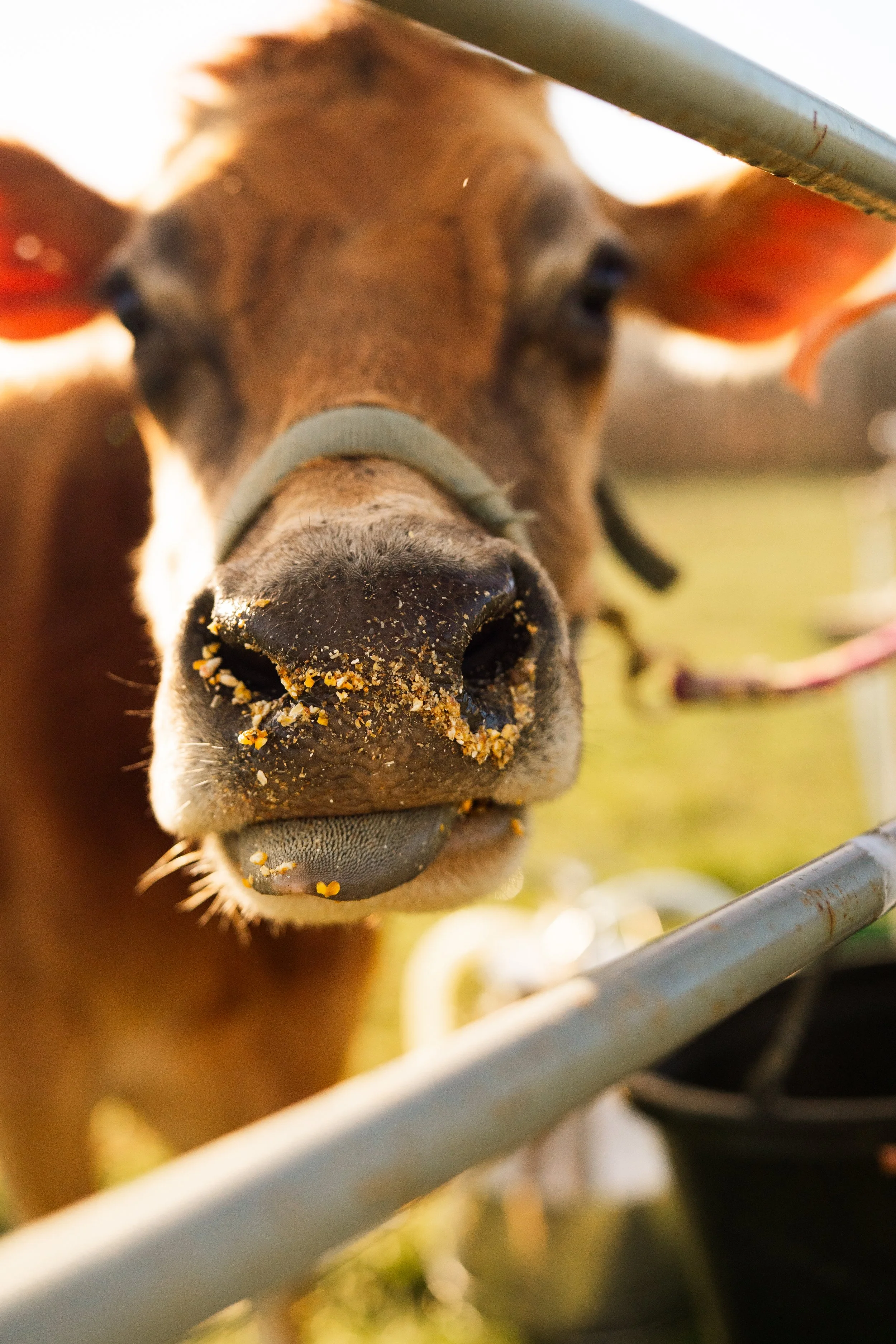 Anderson Family-18.jpg