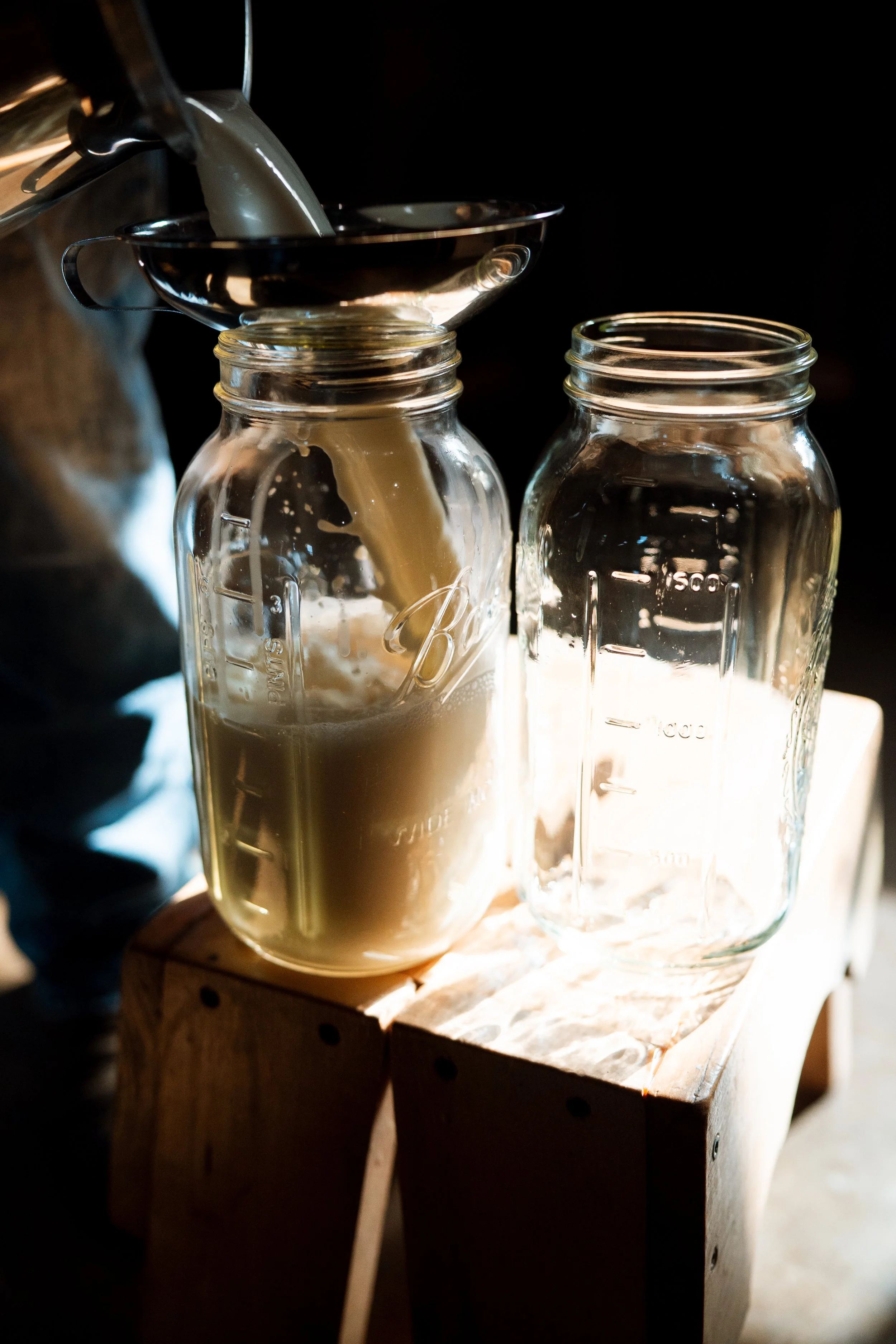 Anderson Family-21.jpg