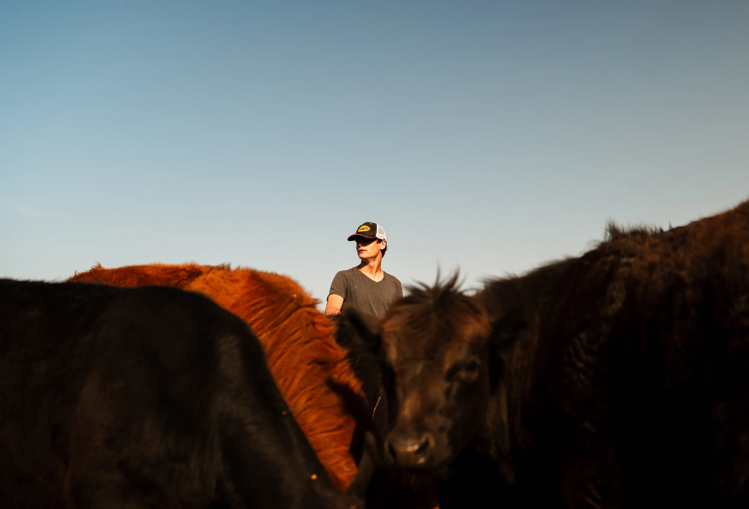 Anderson Family-31.jpg