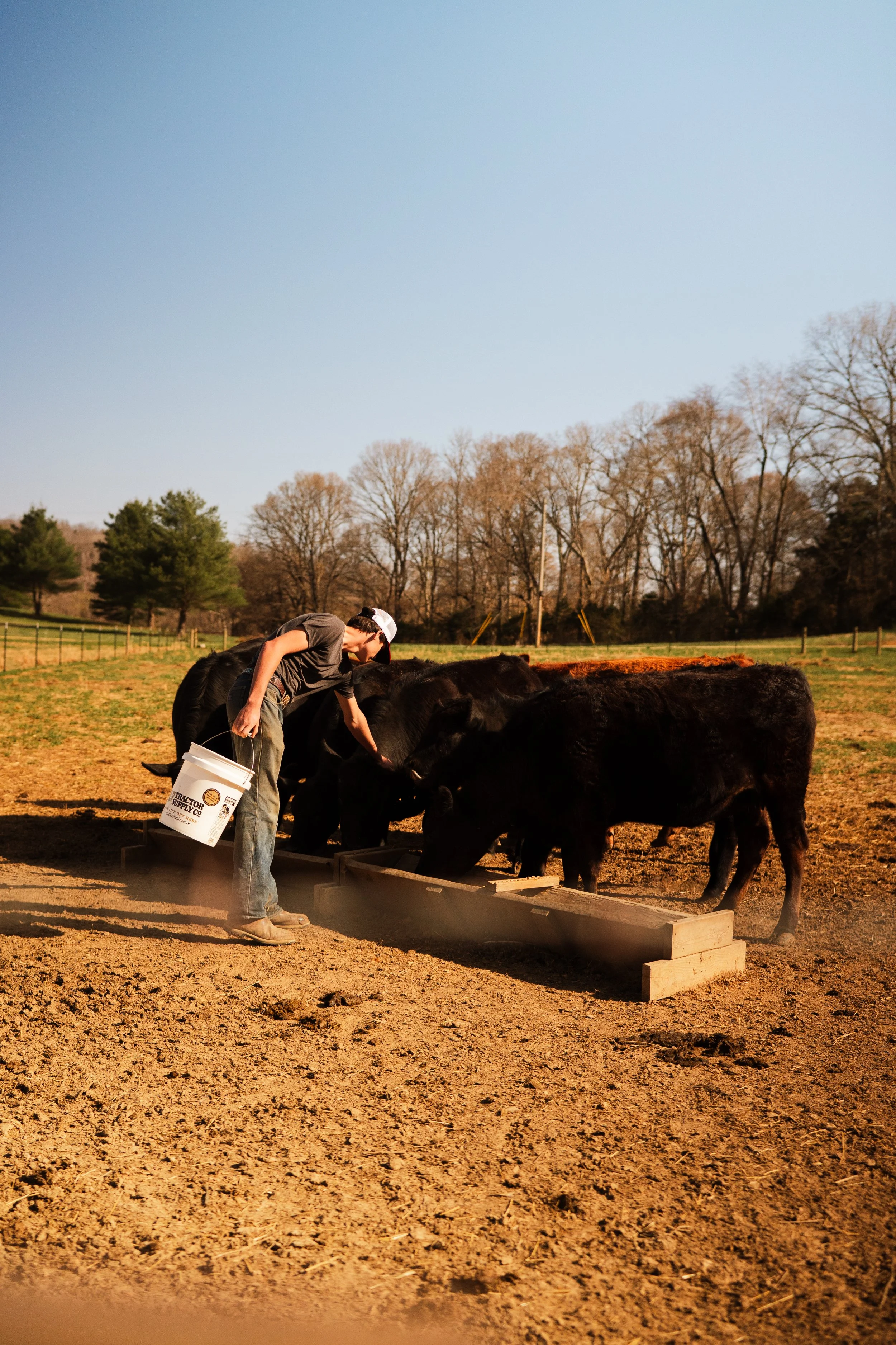 Anderson Family-36.jpg