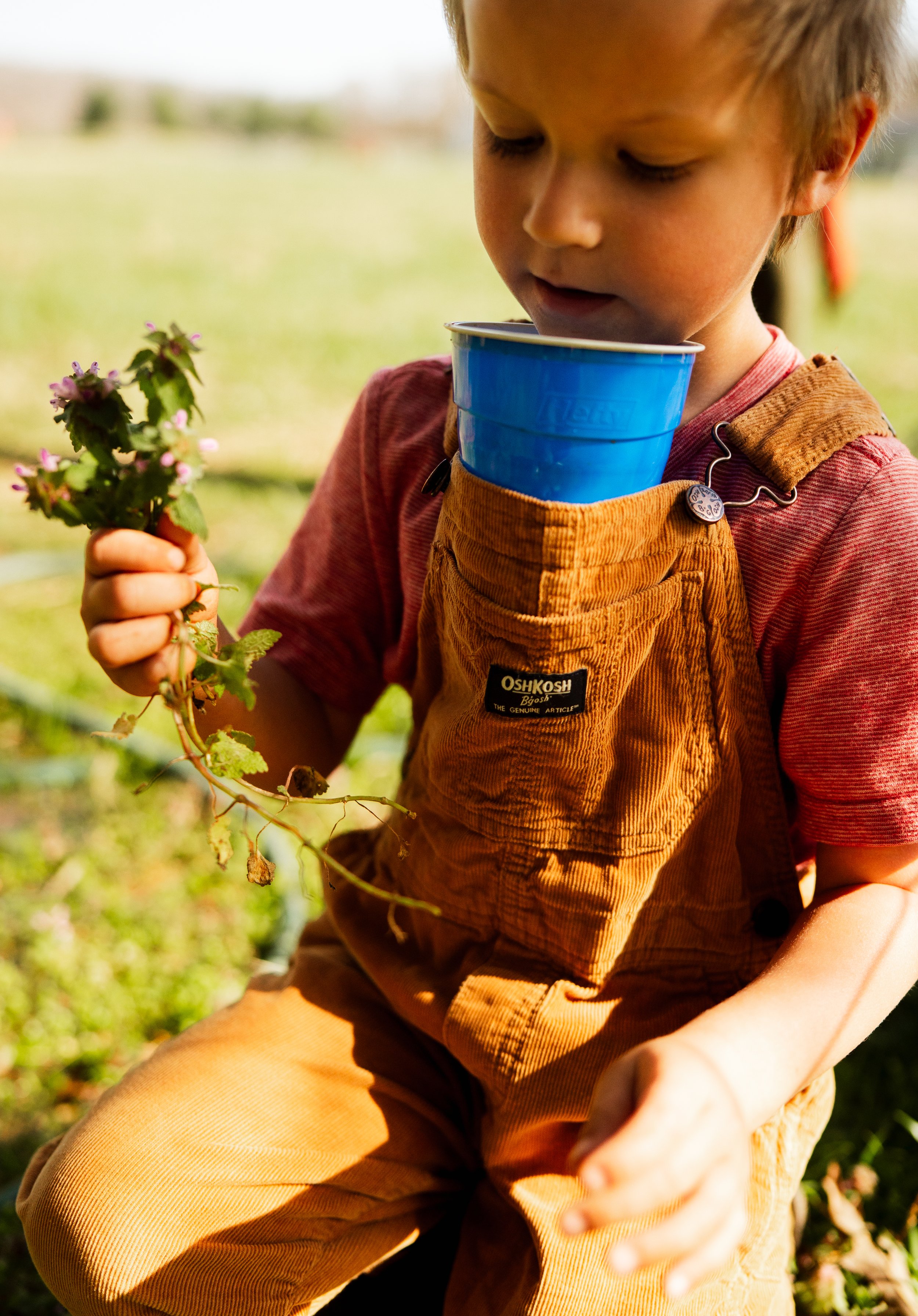 Anderson Family-45.jpg