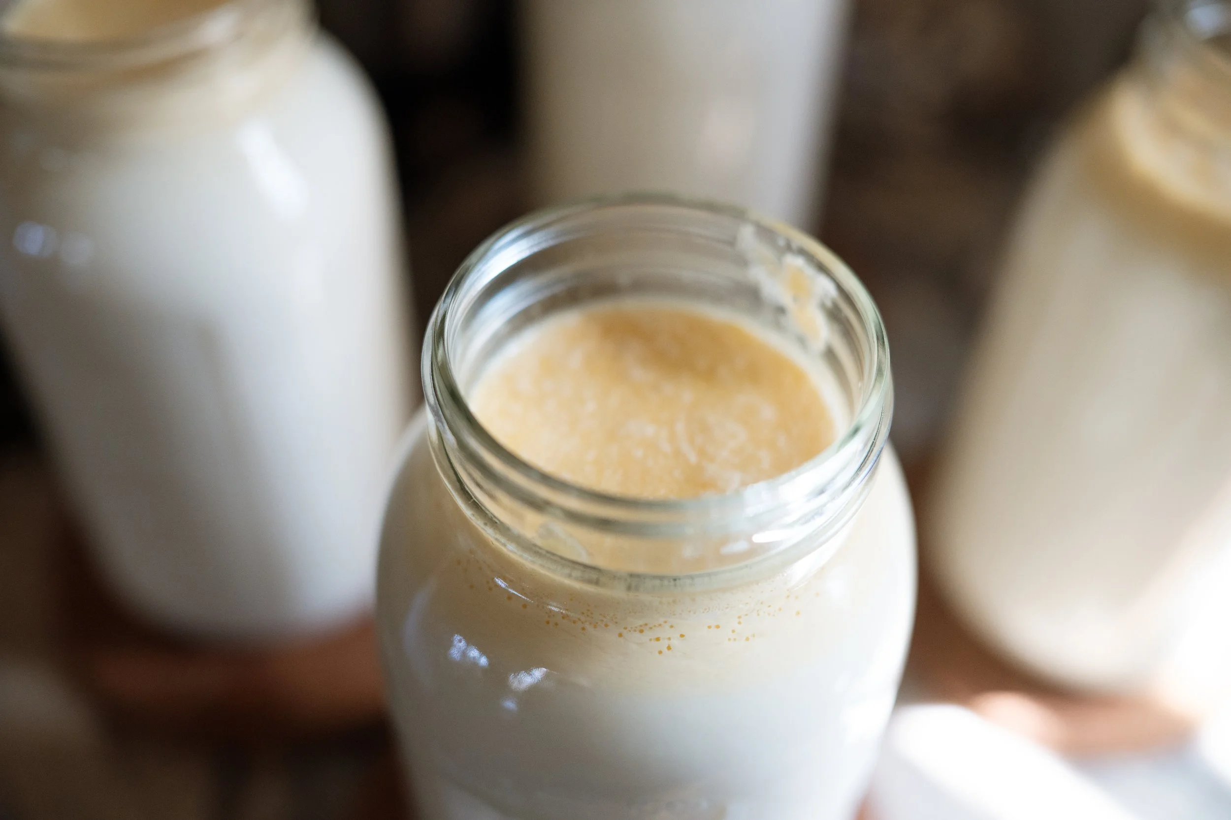 Anderson Family-79.jpg