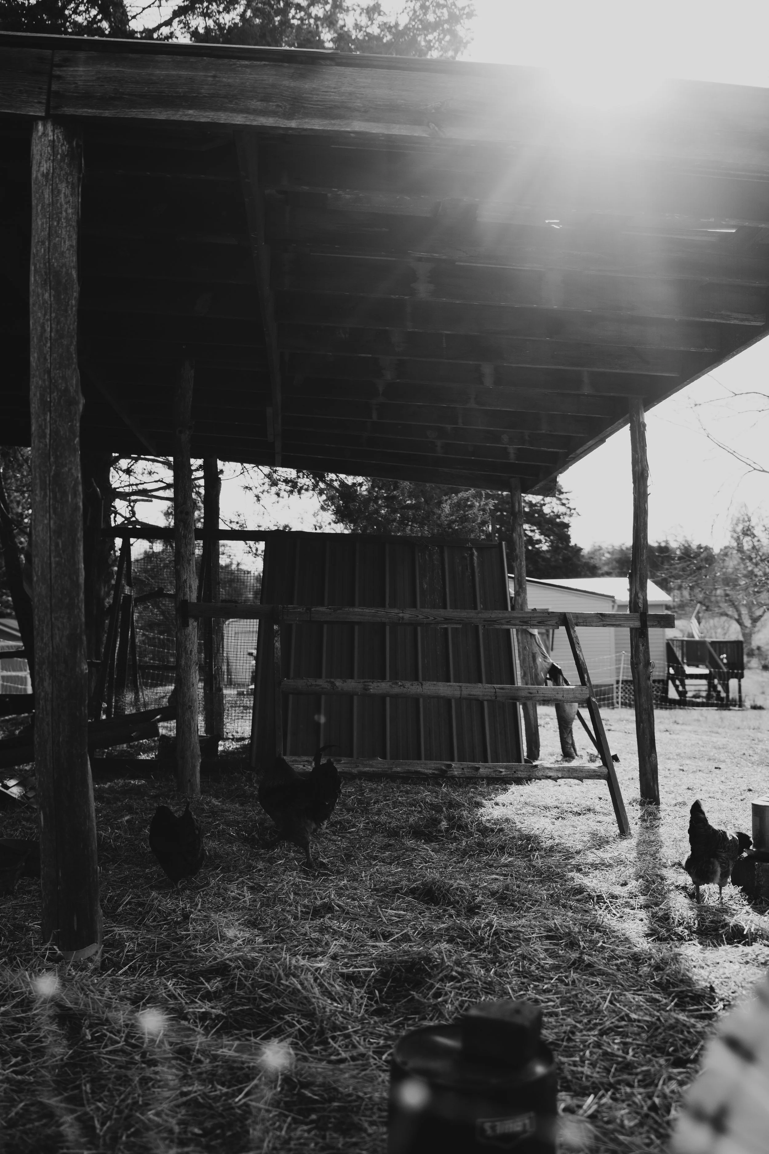 Higgins Family-3.jpg