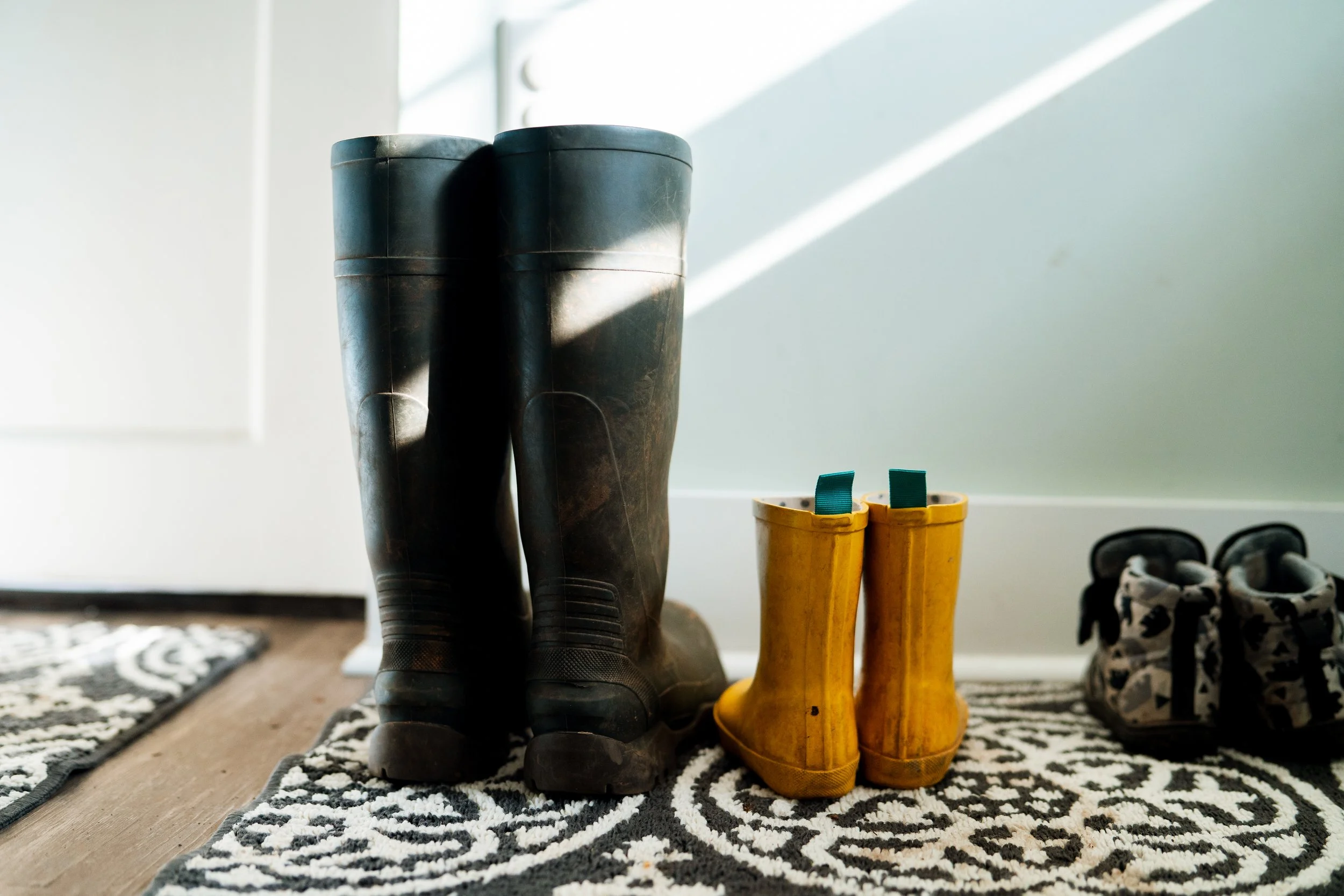 Higgins Family-11.jpg