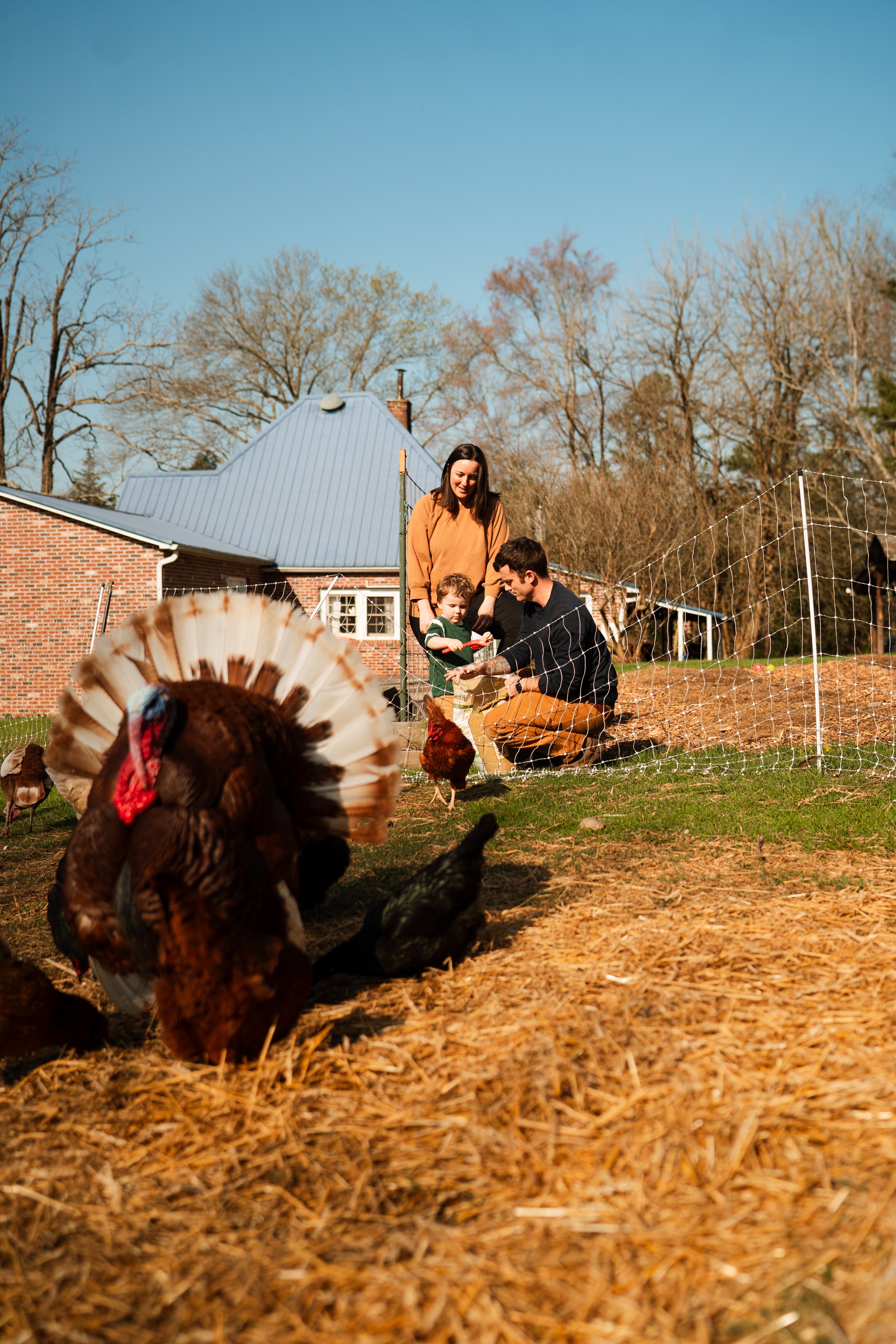 Higgins Family-17.jpg