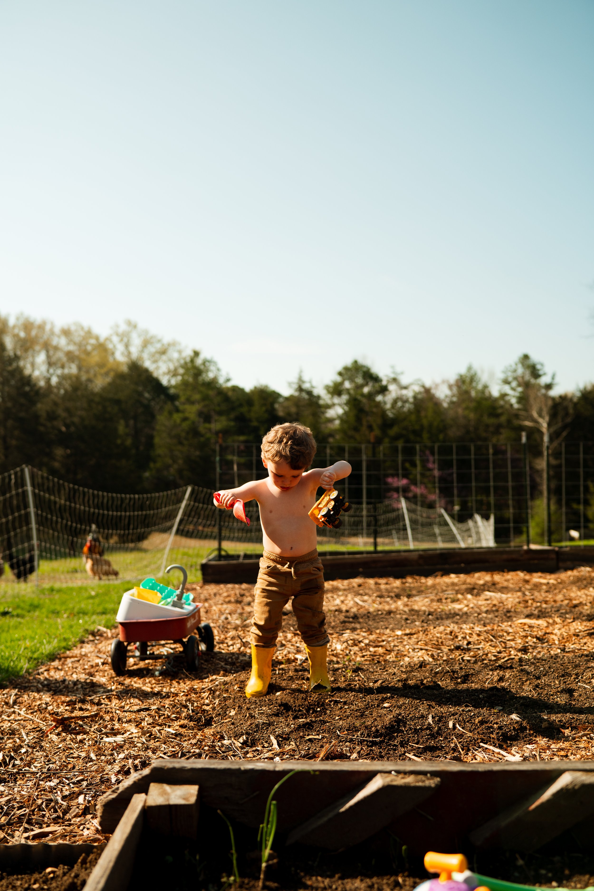 Higgins Family-35.jpg