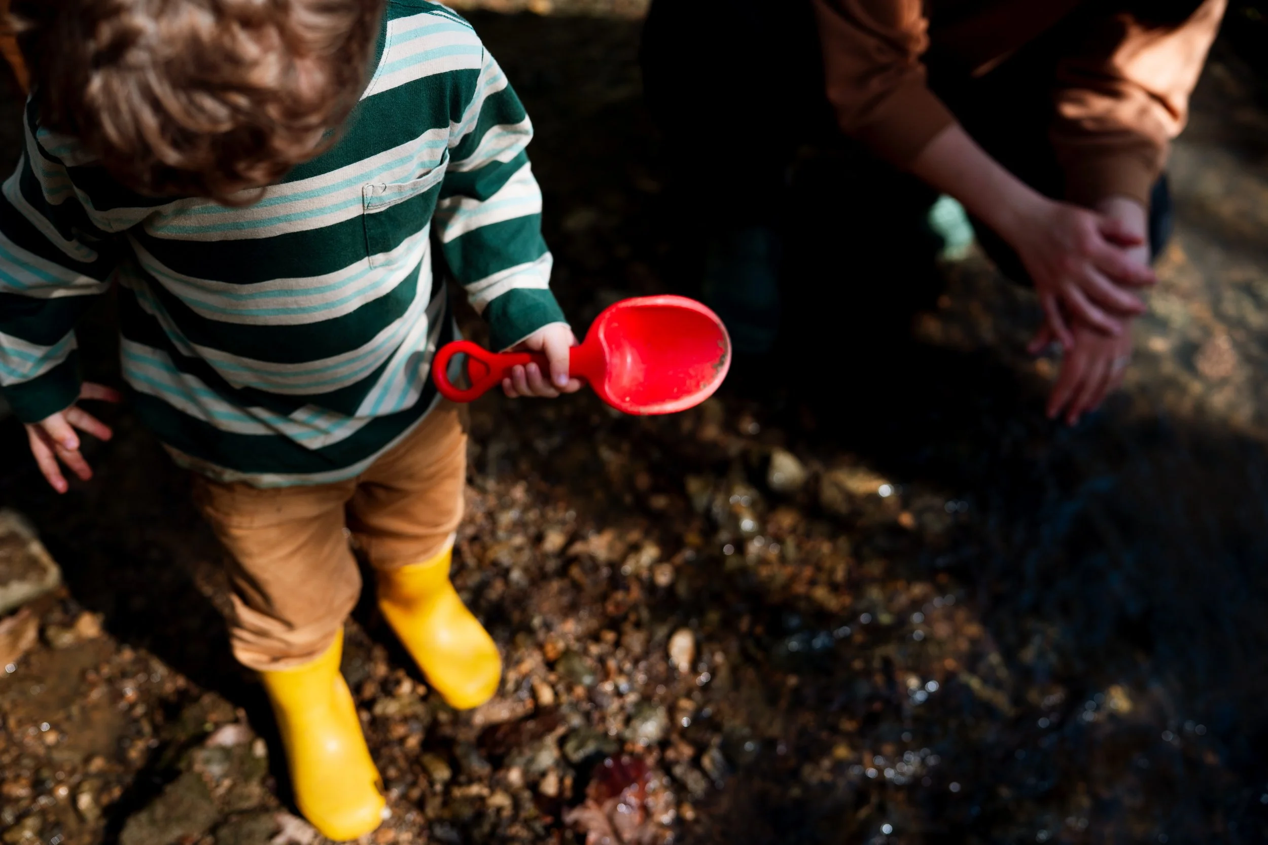 Higgins Family-63.jpg