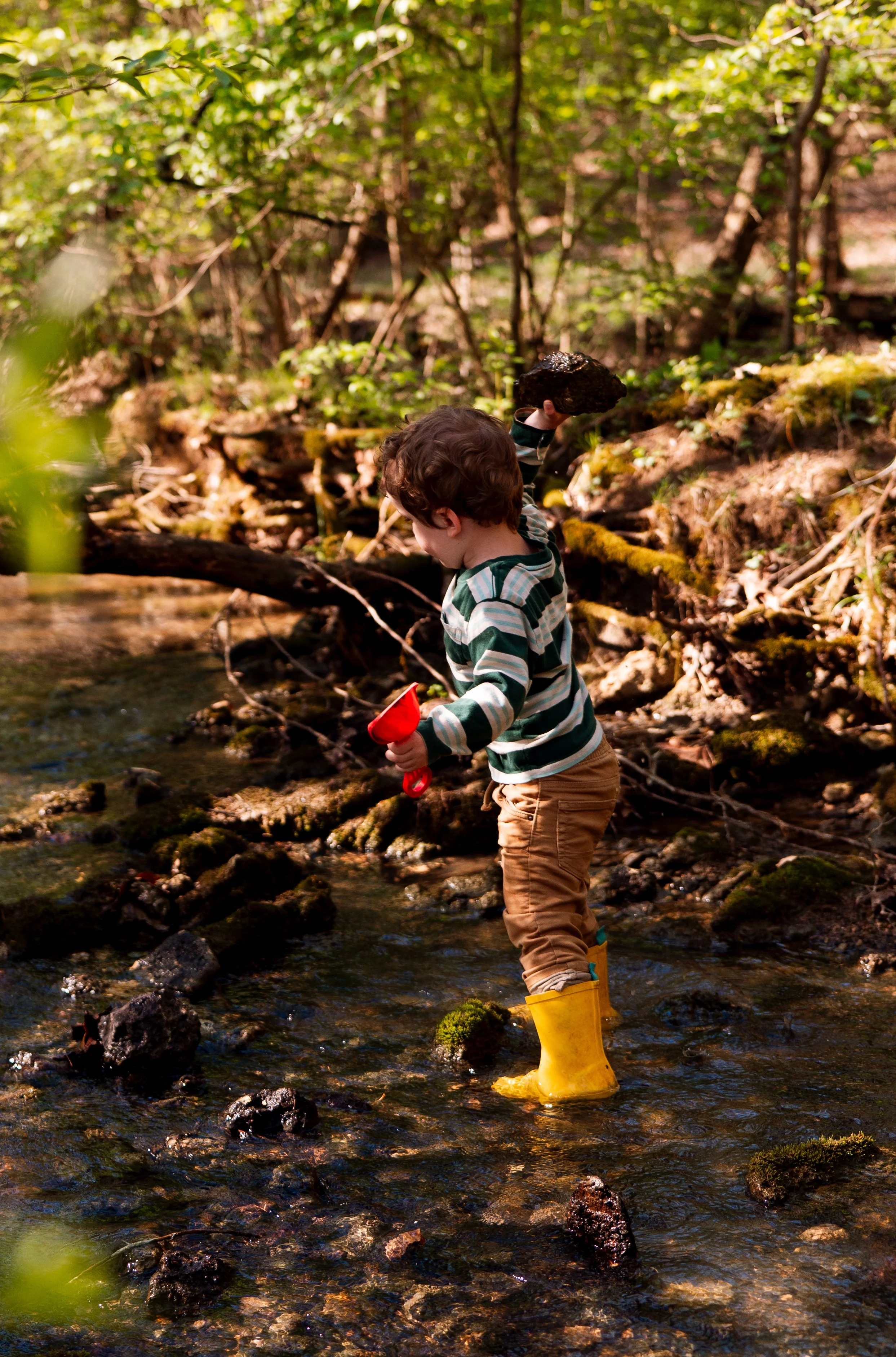 Higgins Family-65.jpg