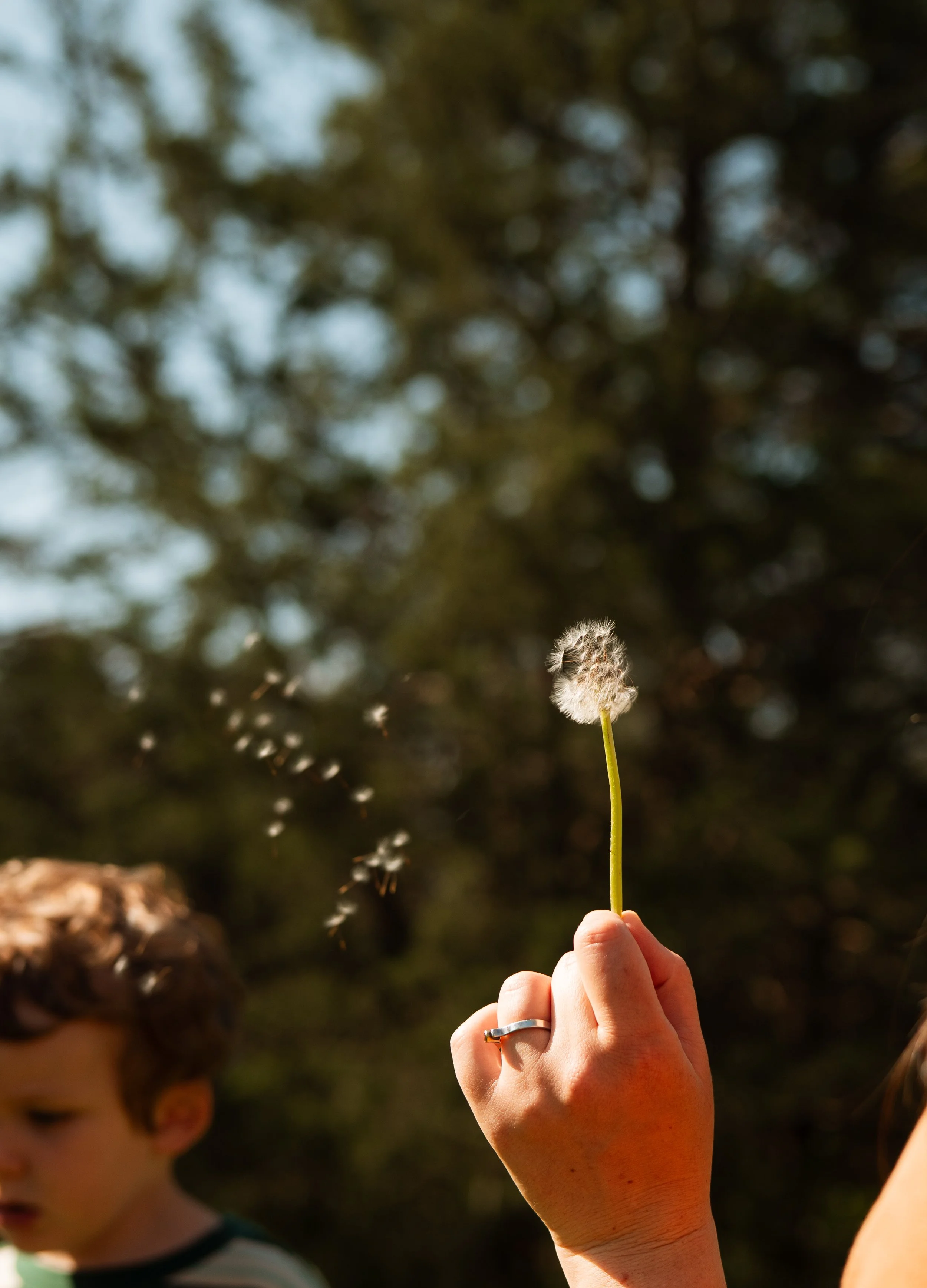 Higgins Family-77.jpg