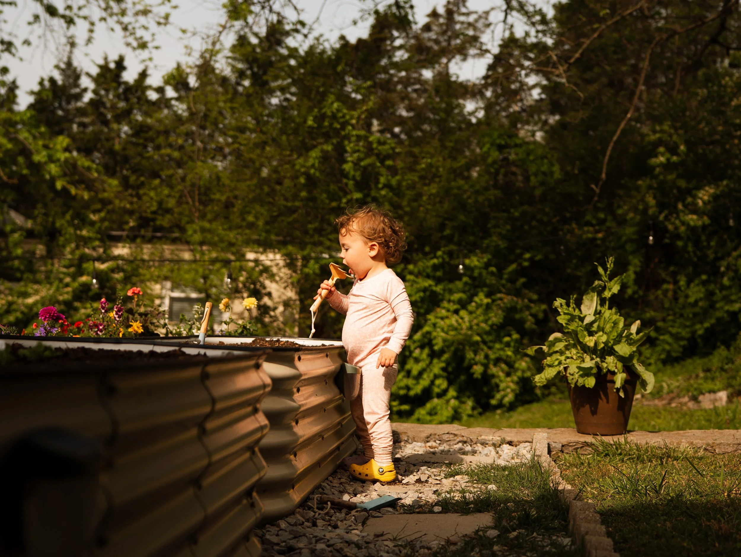 Nicholson Family-70.jpg