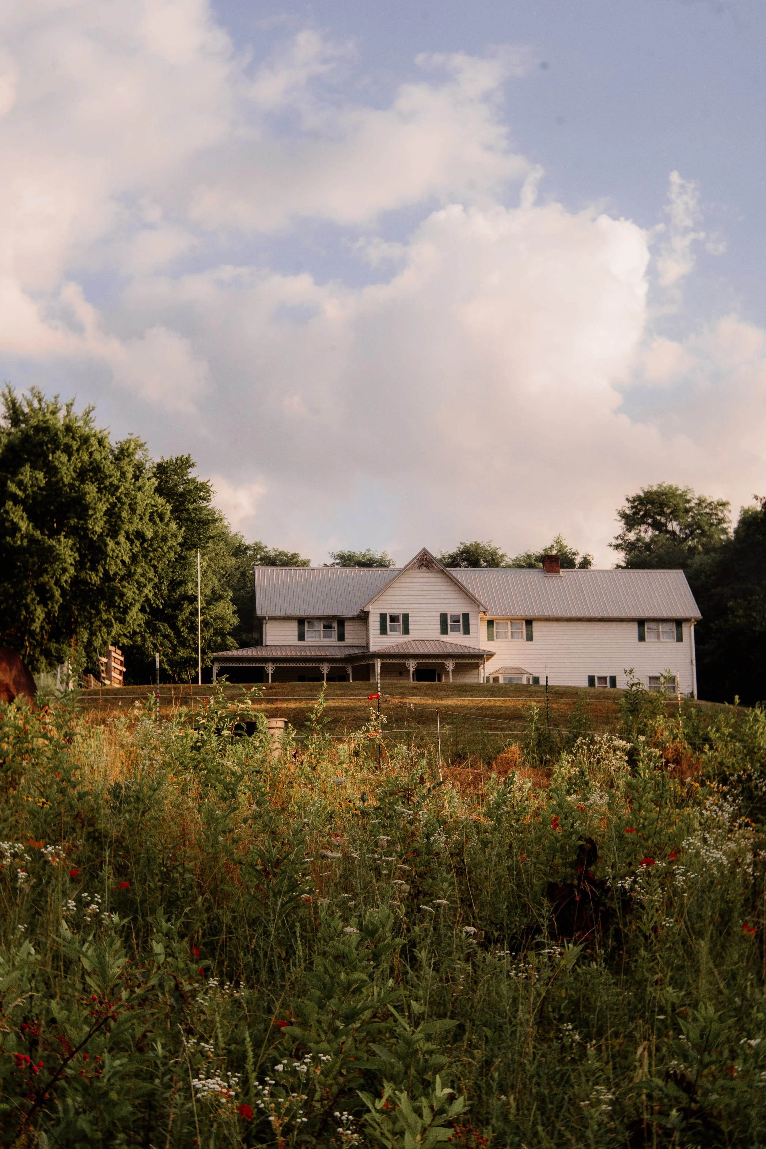 Irving Family-23.jpg