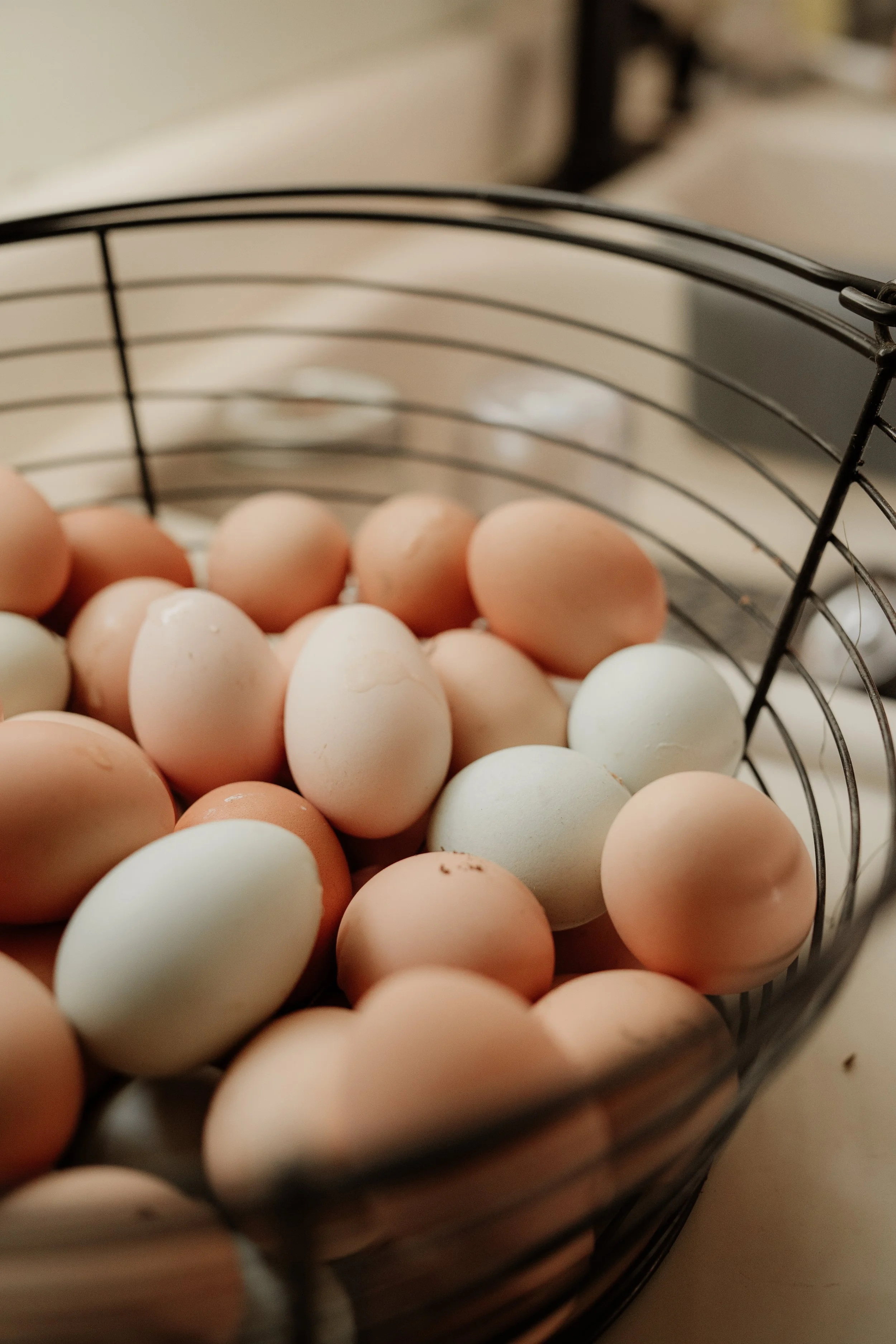 Irving Family-61.jpg