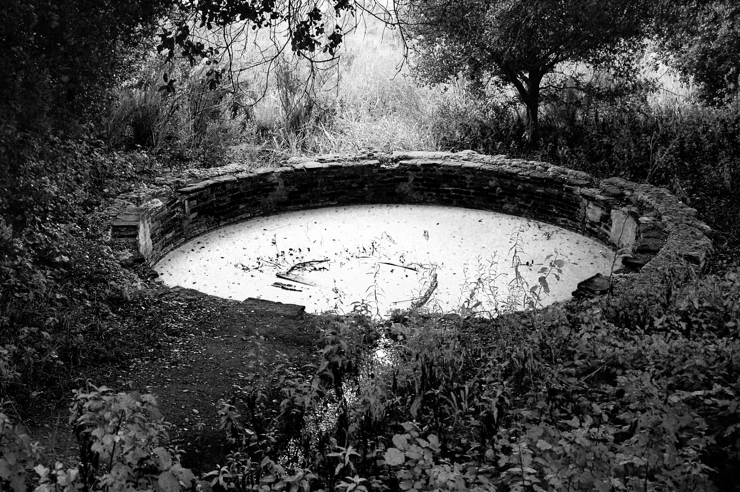 cistern copy.jpg