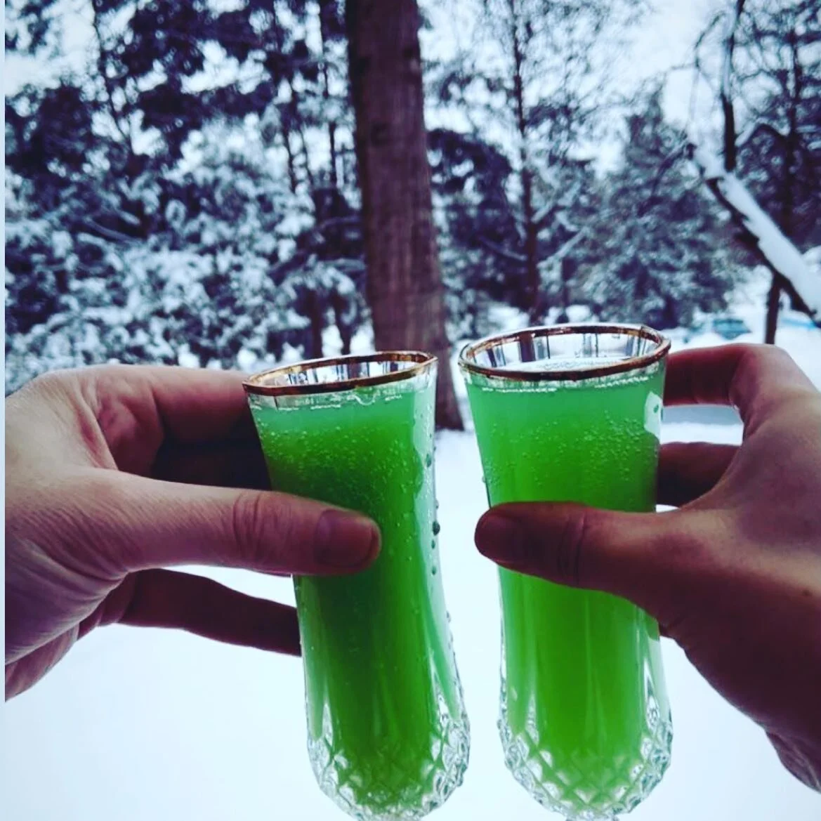 Nothing says “thinking of summer” more than mermaid 🧜‍♀️ mimosas after shoveling ! 🌊🌞🦀🏝⛱