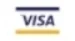 Visa Logo2.jpg