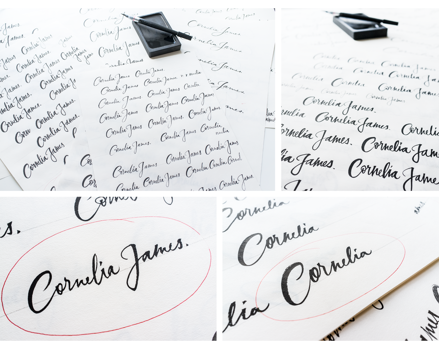 Cornelia-James-logo-calligraaphy-process.png