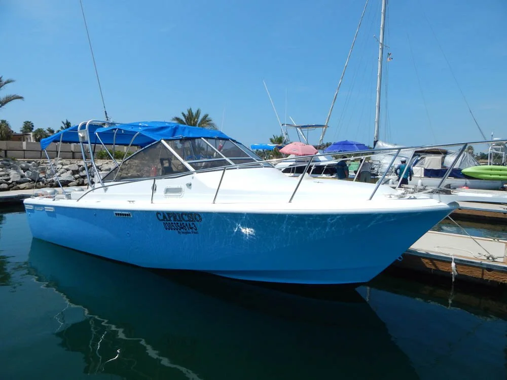 A white and blue motorboat docked at a marina with other boats, palm trees, and rocks visible in the background.