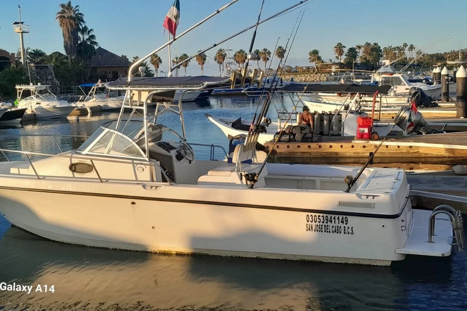 Several boats docked at a marina with palm trees and buildings in the background, including a white boat with fishing rods and a man sitting on a wooden boat.