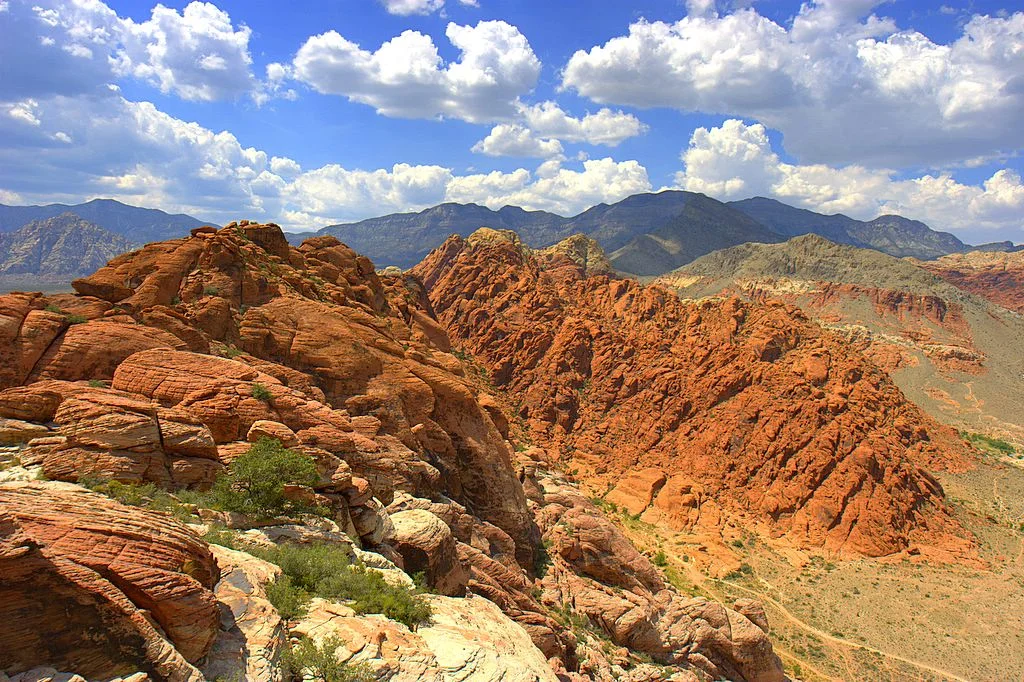 Calico_basin_red_rock_cumulus_mediocris.jpg