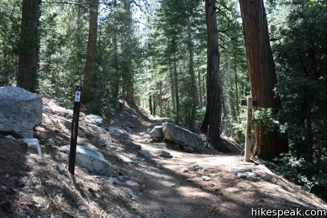Cooper_Canyon_Falls_IMG_0600.jpg