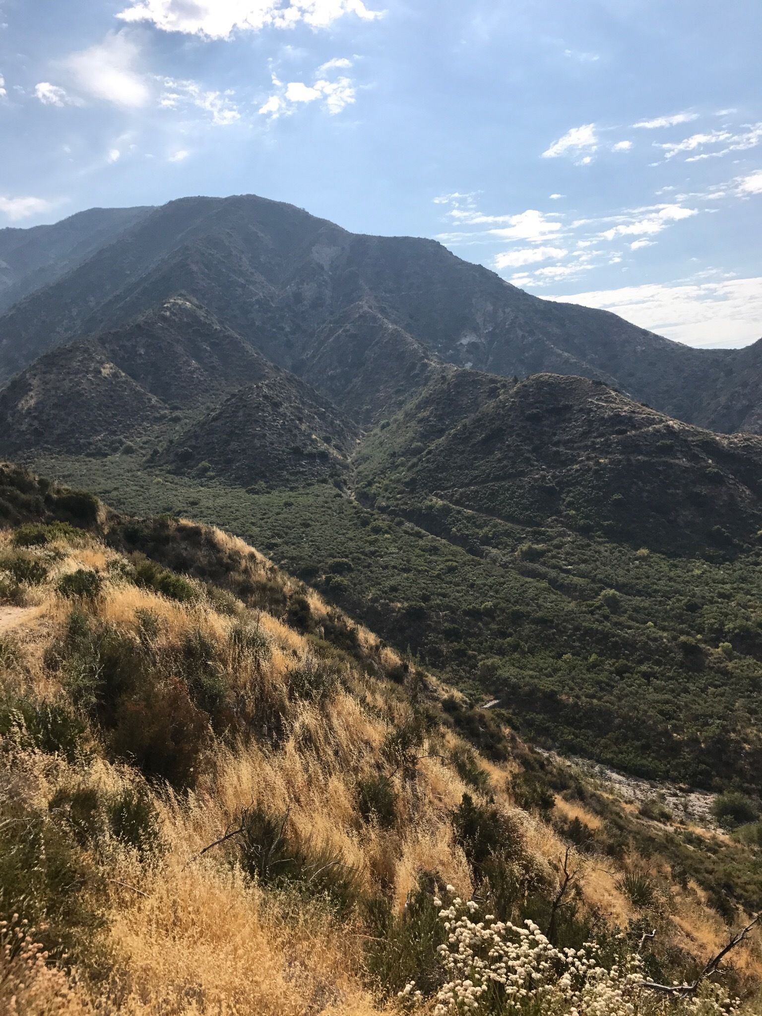 dunsmore peak.jpg